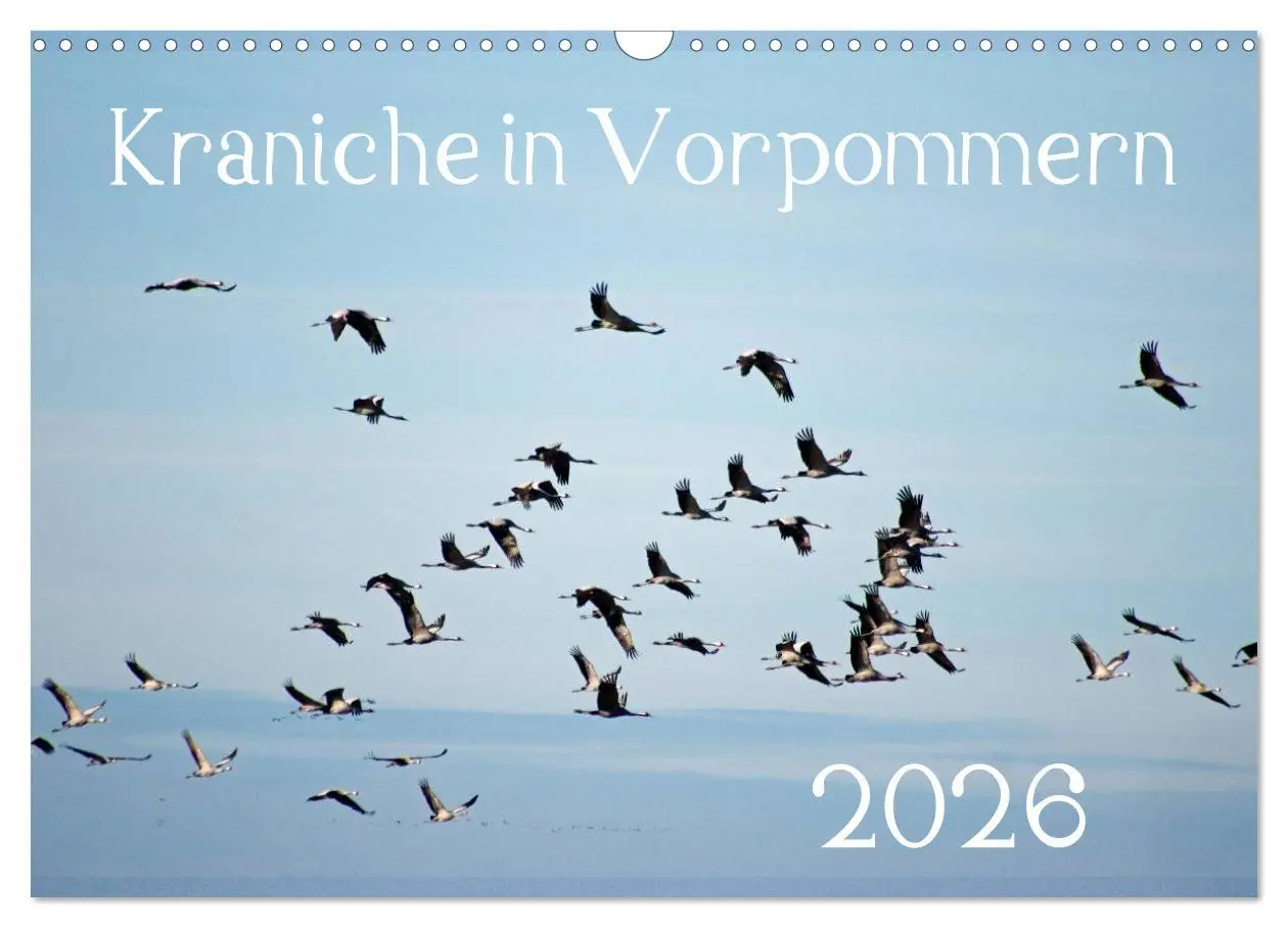 Cover: 9783516092998 | Kraniche in Vorpommern (Wandkalender 2026 DIN A3 quer), CALVENDO...