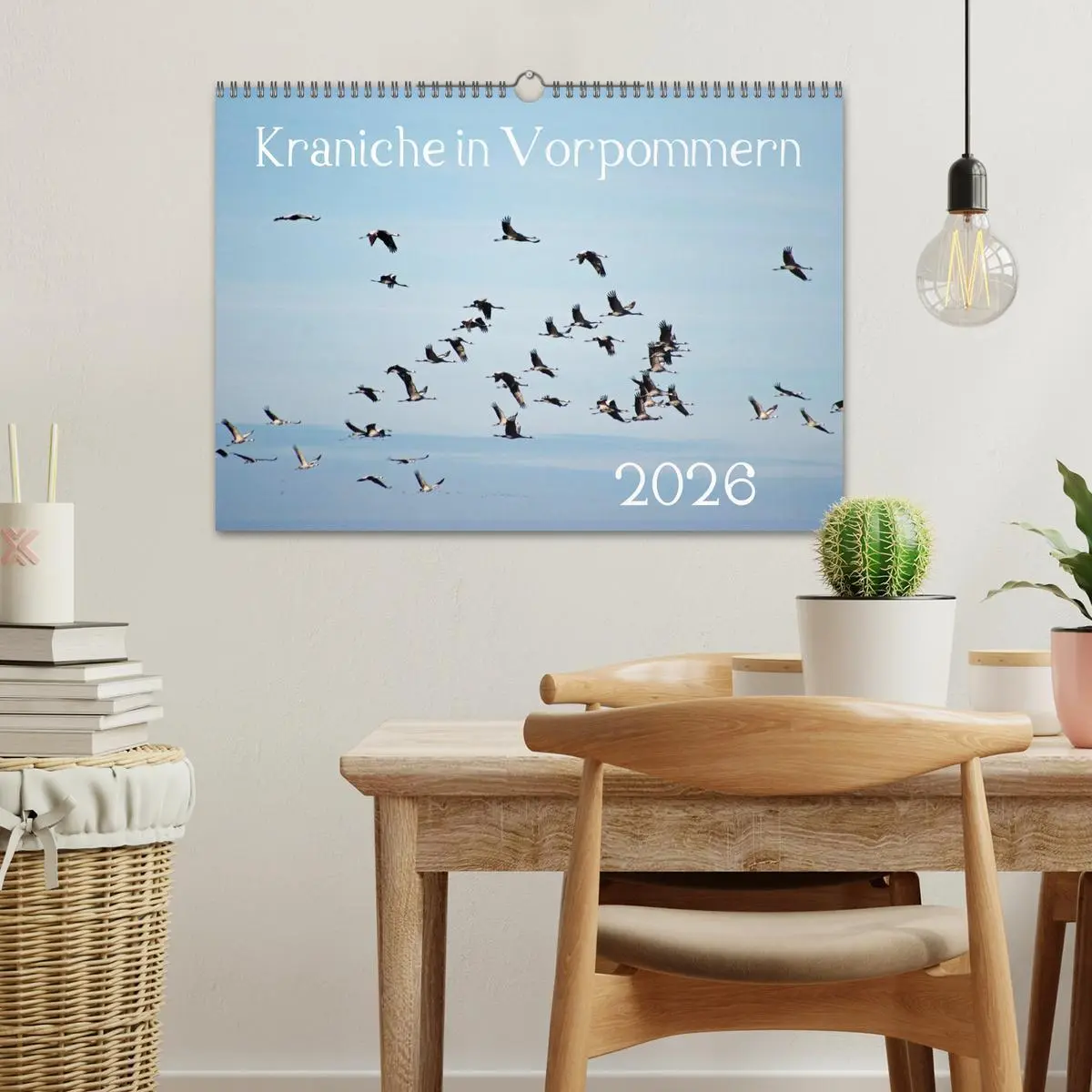 Bild: 9783516092998 | Kraniche in Vorpommern (Wandkalender 2026 DIN A3 quer), CALVENDO...