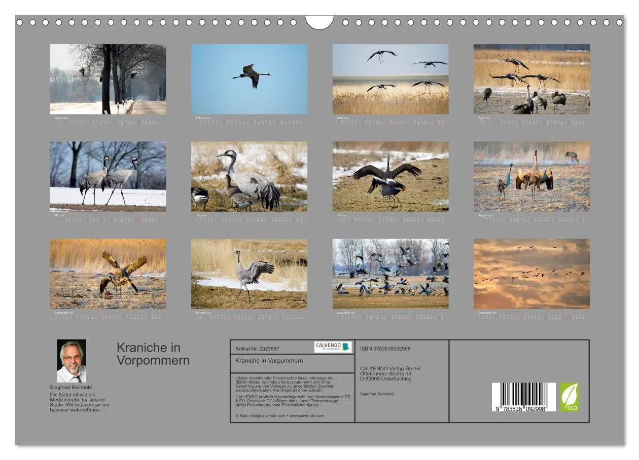 Bild: 9783516092998 | Kraniche in Vorpommern (Wandkalender 2026 DIN A3 quer), CALVENDO...