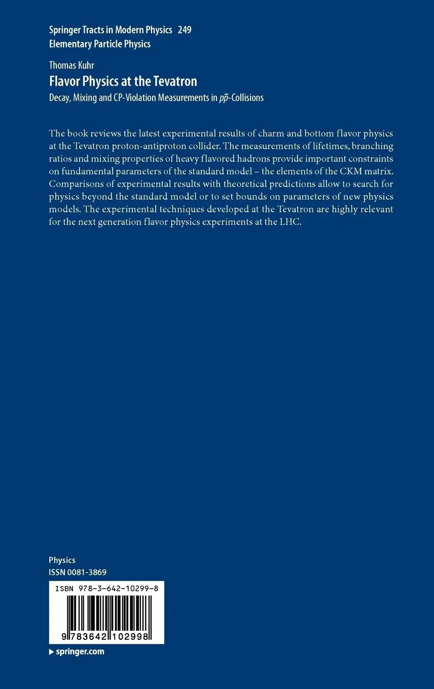 Rückseite: 9783642102998 | Flavor Physics at the Tevatron | Thomas Kuhr | Buch | viii | Englisch
