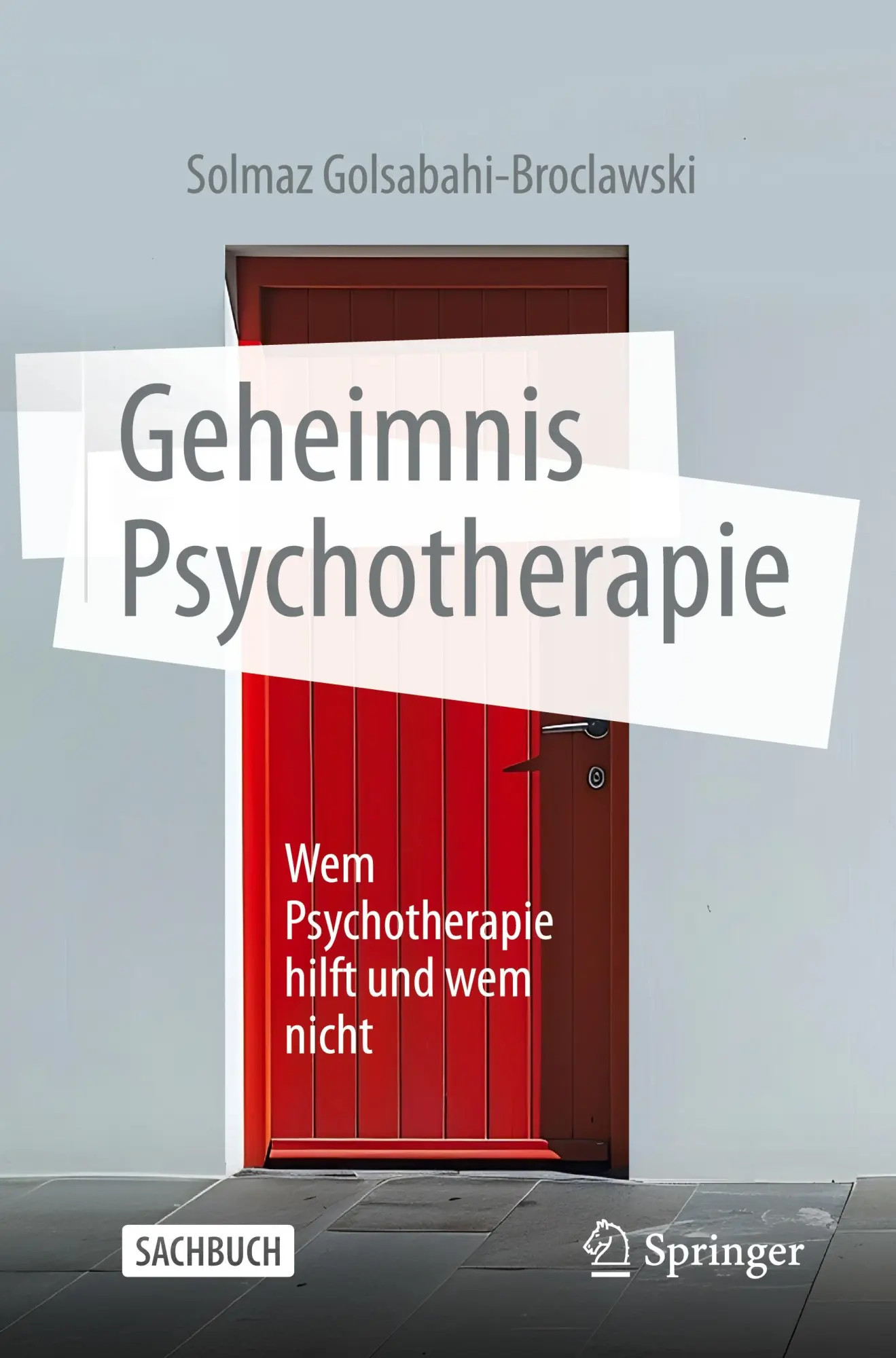 Cover: 9783662692998 | Geheimnis Psychotherapie | Wem Psychotherapie hilft und wem nicht