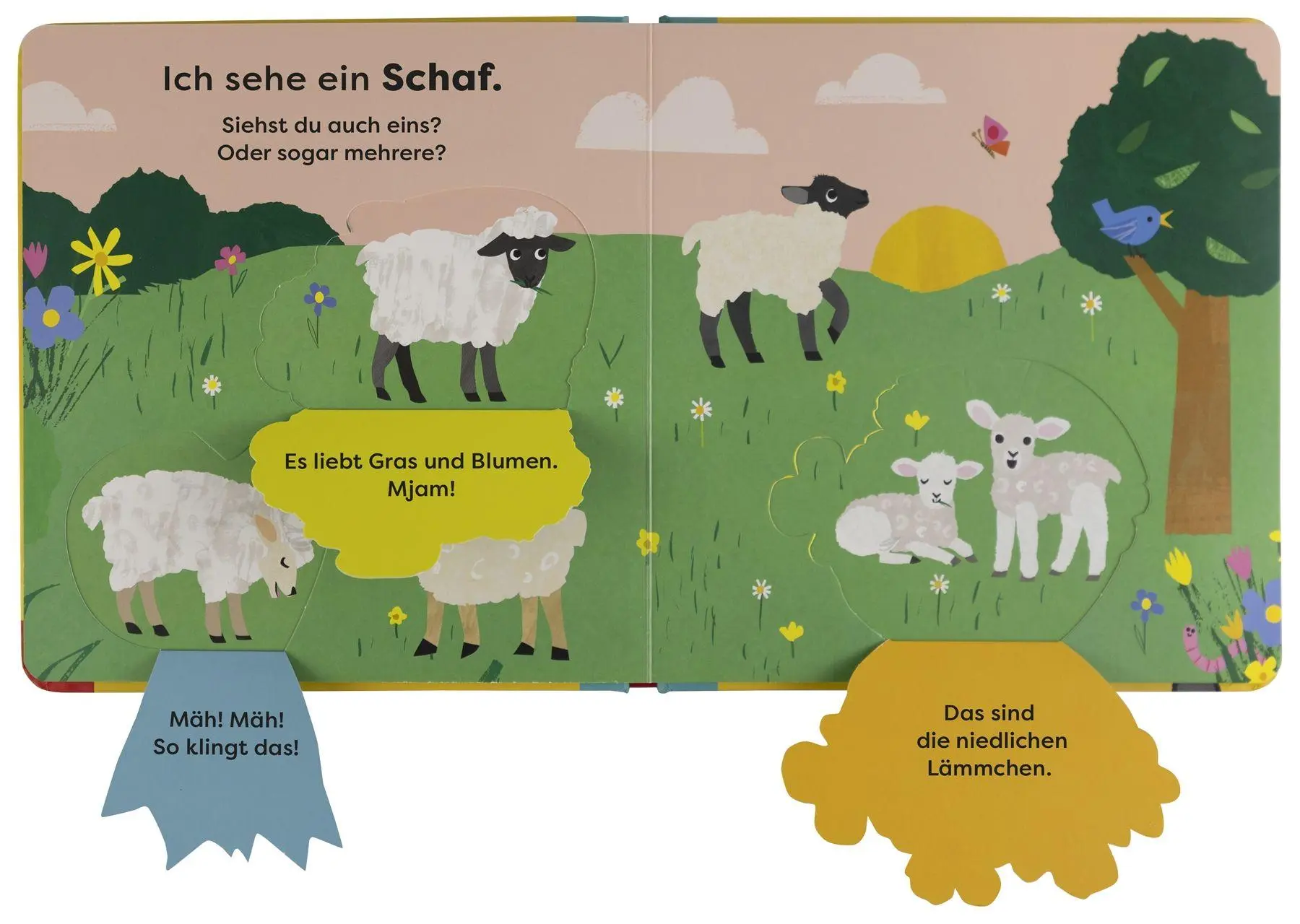 Bild: 9783831052998 | Mein erstes Natur-Entdeckerbuch. Da! Eine Kuh | DK Verlag - Kids