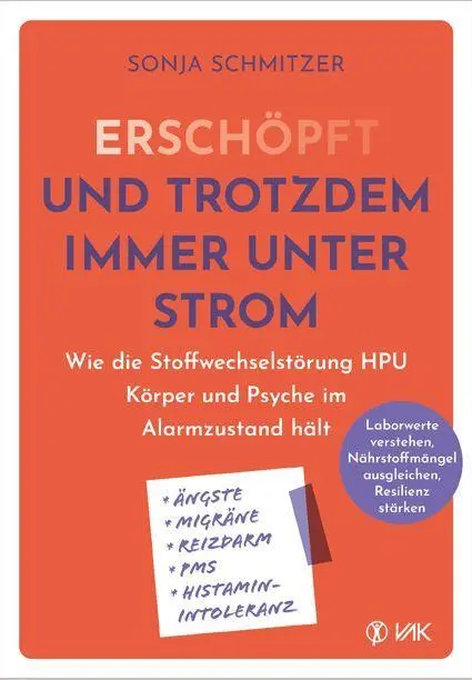 Cover: 9783867312998 | Erschöpft - und trotzdem immer unter Strom | Sonja Schmitzer | Buch