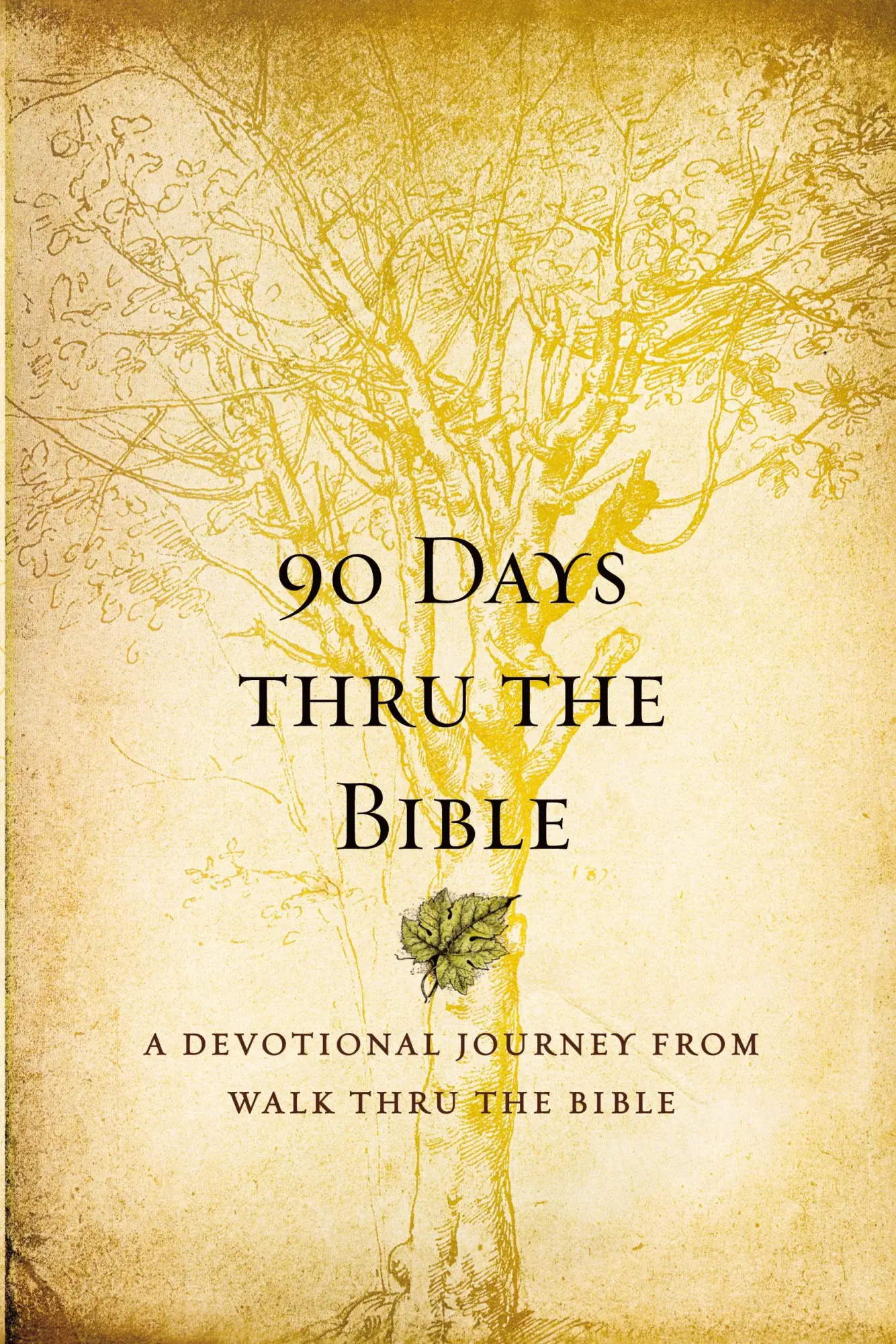 Cover: 9781414353098 | 90 Days Thru the Bible | Chris Tiegreen | Taschenbuch | Englisch