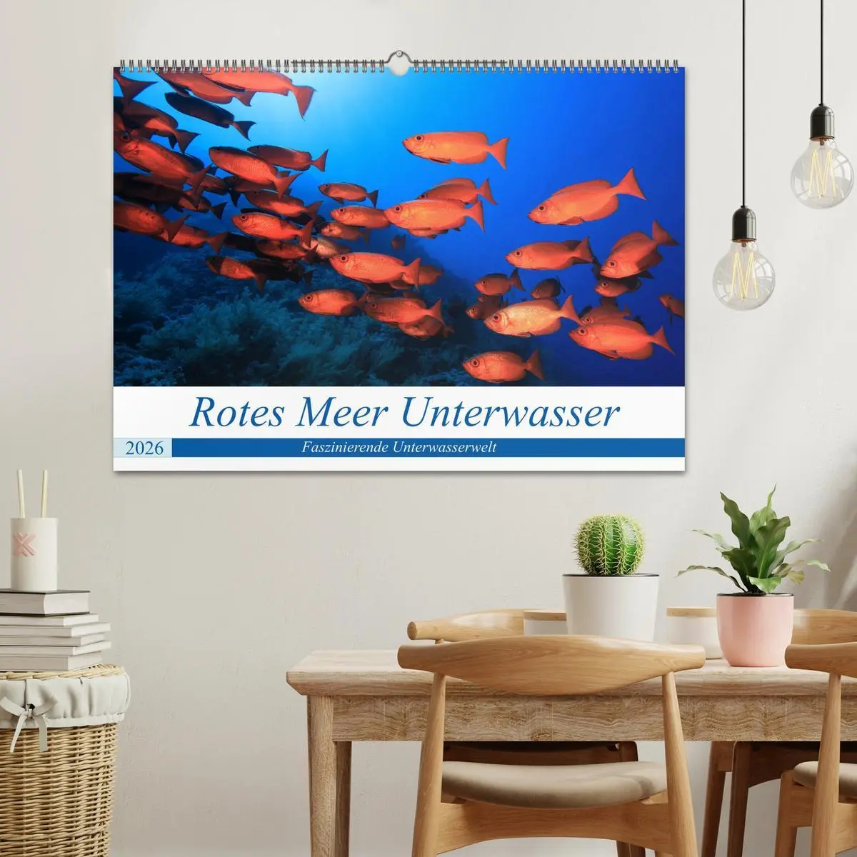 Bild: 9783457723098 | Rotes Meer Unterwasser (Wandkalender 2026 DIN A2 quer), CALVENDO...
