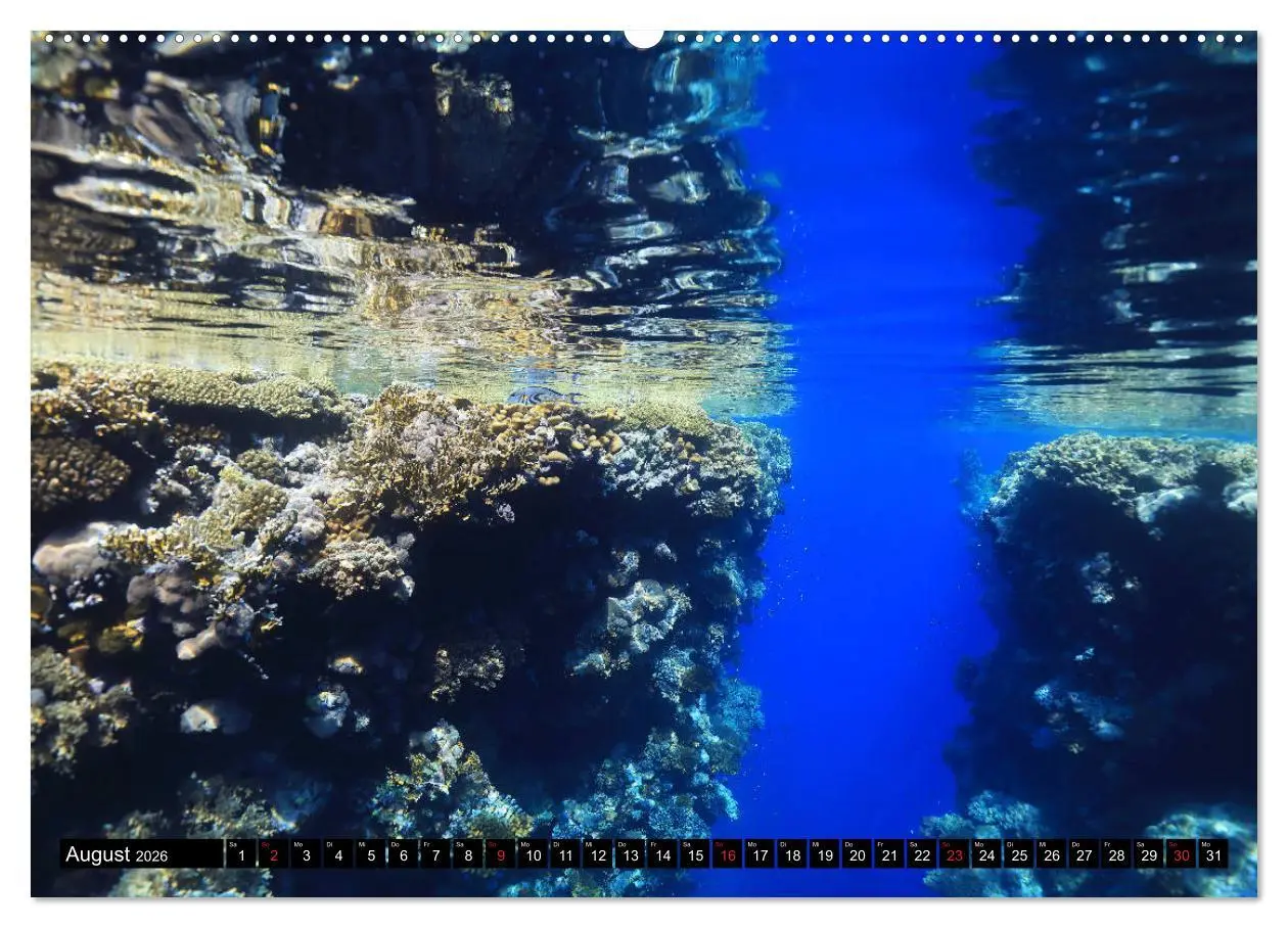 Bild: 9783457723098 | Rotes Meer Unterwasser (Wandkalender 2026 DIN A2 quer), CALVENDO...