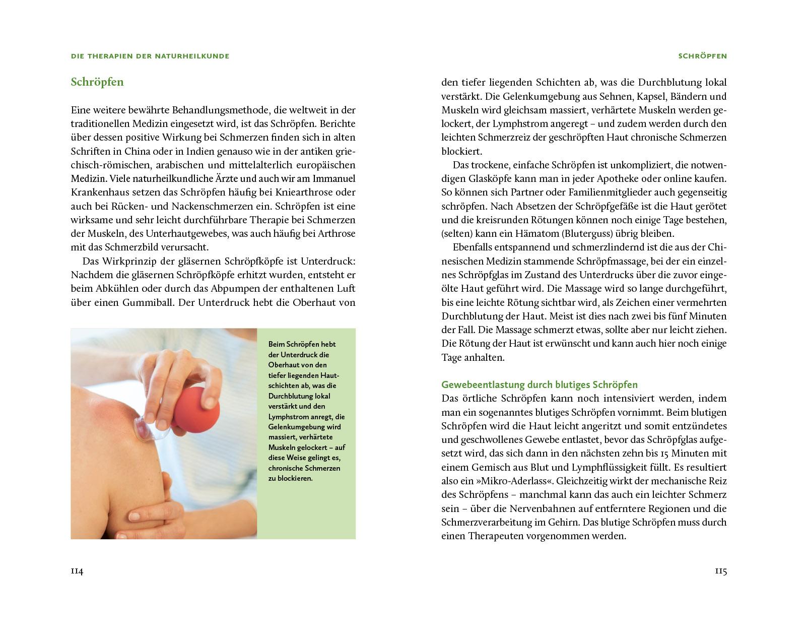 Bild: 9783458643098 | Die Natur-Docs - Meine besten Heilmittel für Gelenke. Arthrose,...