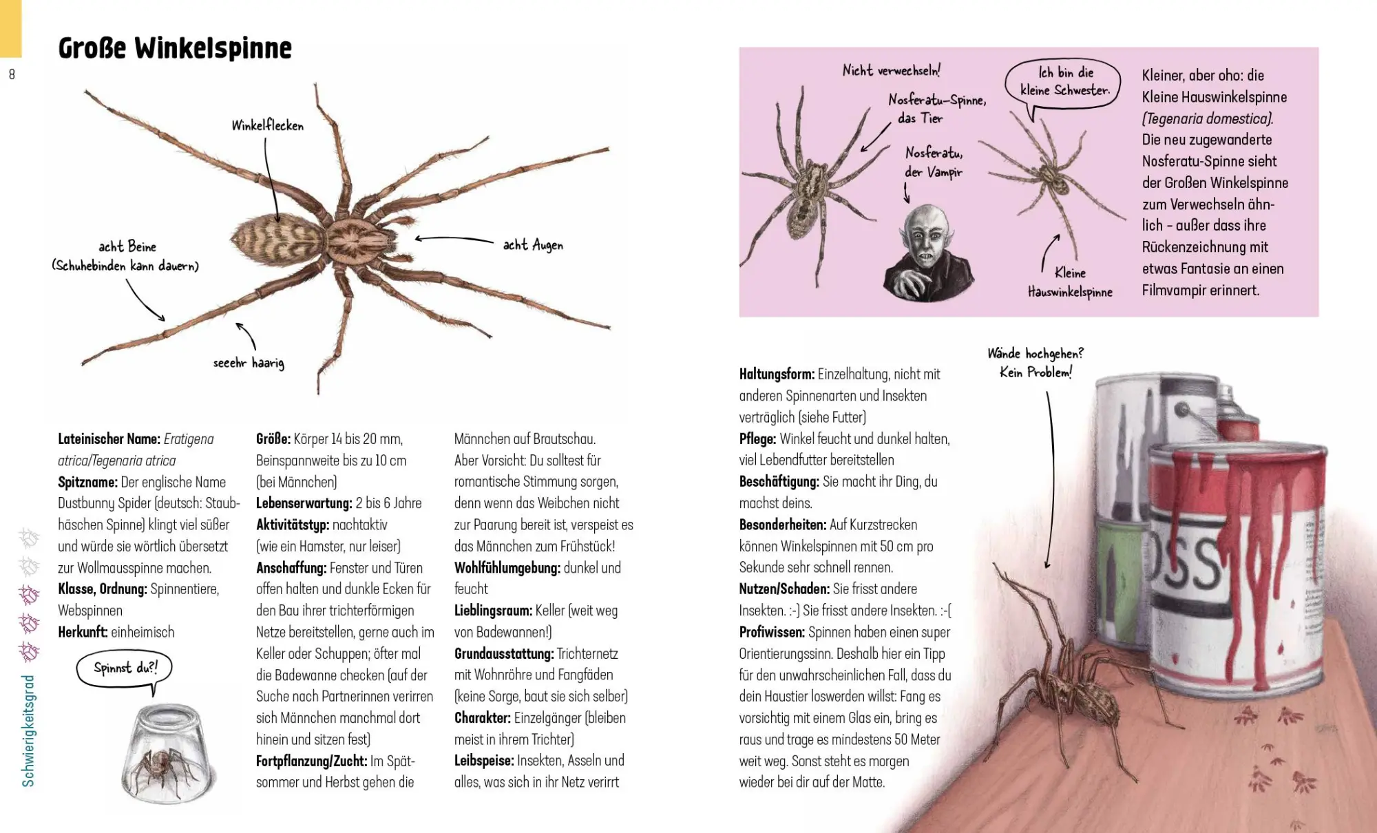 Bild: 9783954703098 | Hui, Spinne! Haustierchen halten für Anfänger | Lena Zeise | Buch