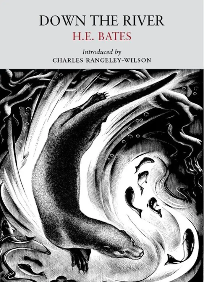 Cover: 9781908213198 | Down the River | H E Bates | Taschenbuch | Kartoniert / Broschiert