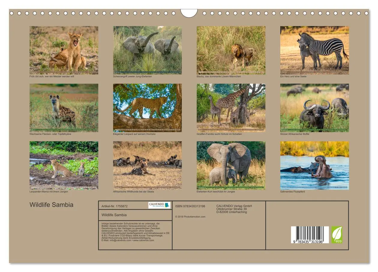 Bild: 9783435313198 | Wildlife Sambia (Wandkalender 2025 DIN A3 quer), CALVENDO...