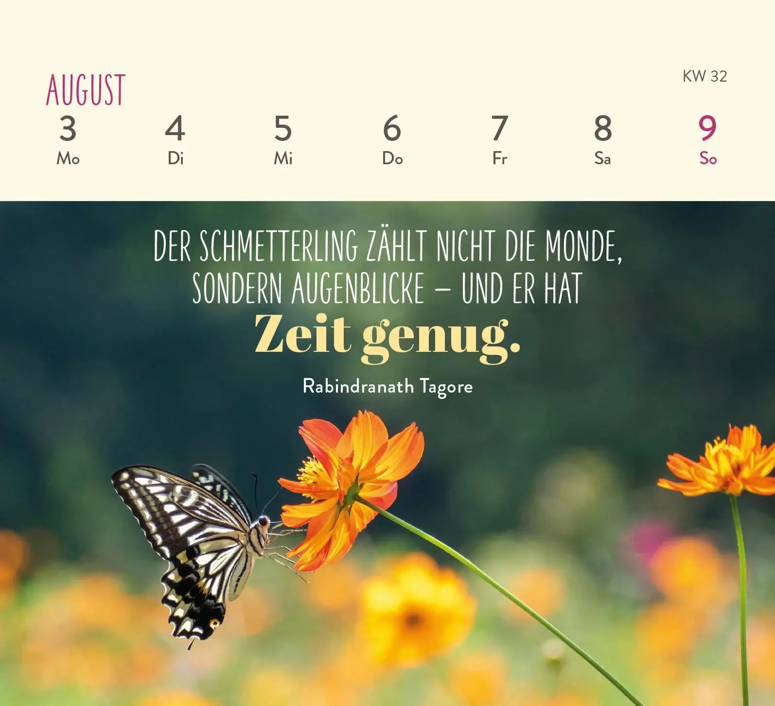 Bild: 4036442013298 | Mini-Wochenkalender 2026: Herzenswünsche für dich | Groh Verlag | 2026