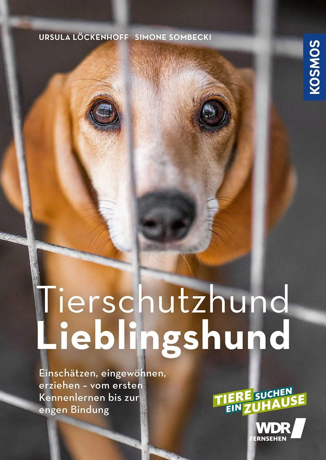 Cover: 9783440173398 | Tierschutzhund Lieblingshund | Ursula Löckenhoff (u. a.) | Taschenbuch