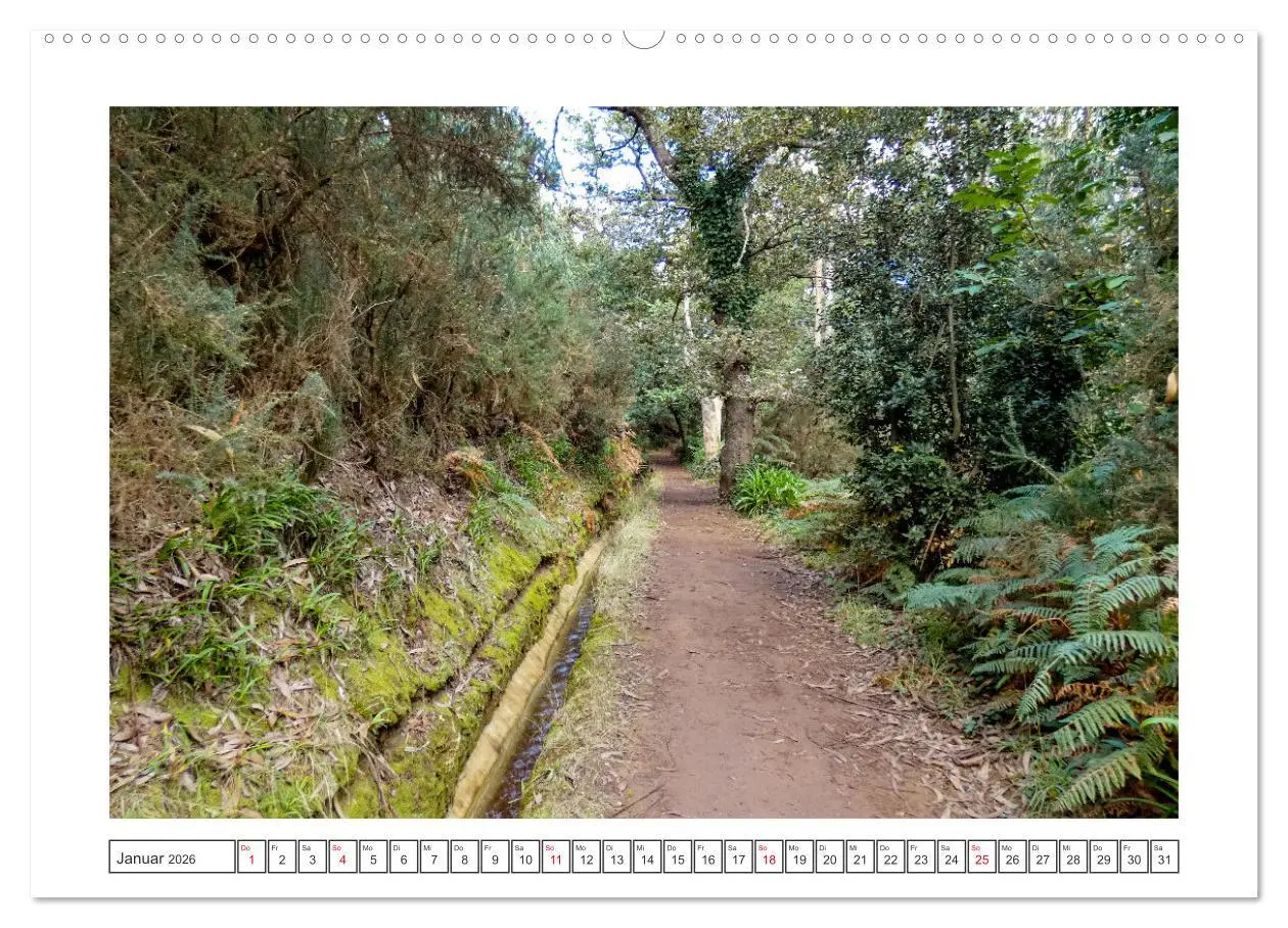 Bild: 9783457483398 | Madeira, eine Insel zum Genießen (hochwertiger Premium Wandkalender...