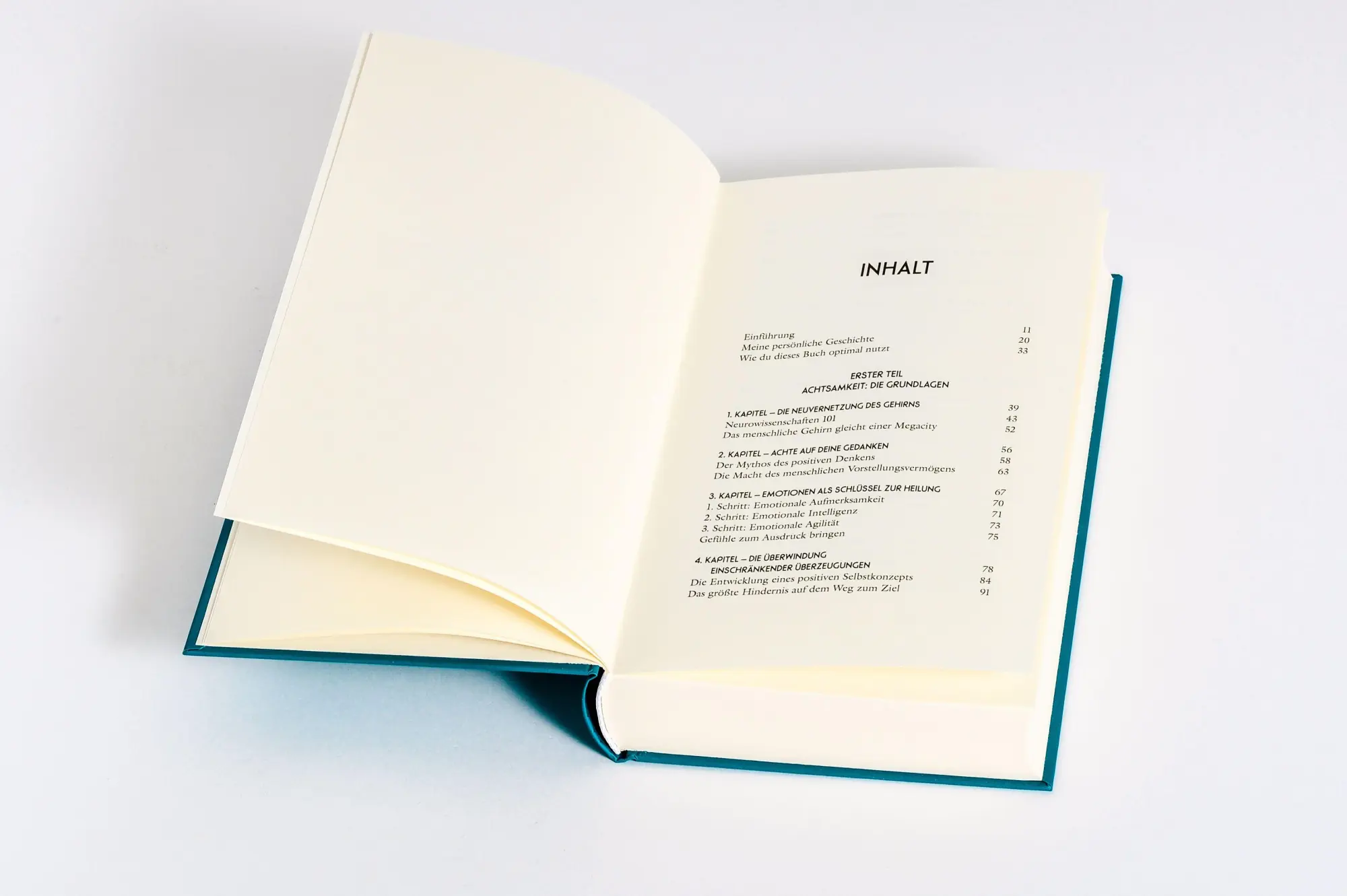 Bild: 9783778793398 | Visualisiere! | Maya Raichoora | Buch | 352 S. | Deutsch | 2025