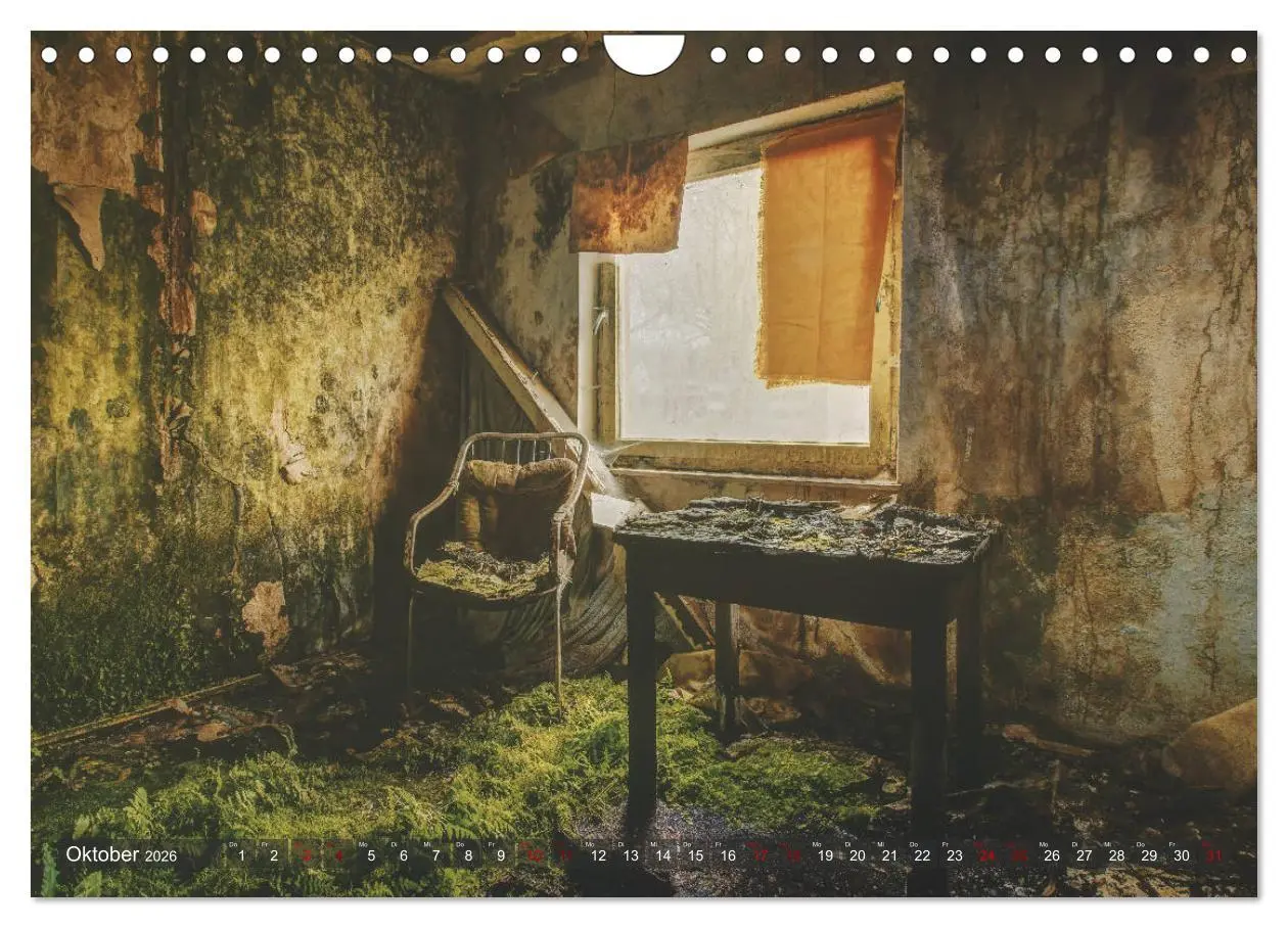 Bild: 9783457853498 | Ruinen Romantik (Wandkalender 2026 DIN A4 quer), CALVENDO...
