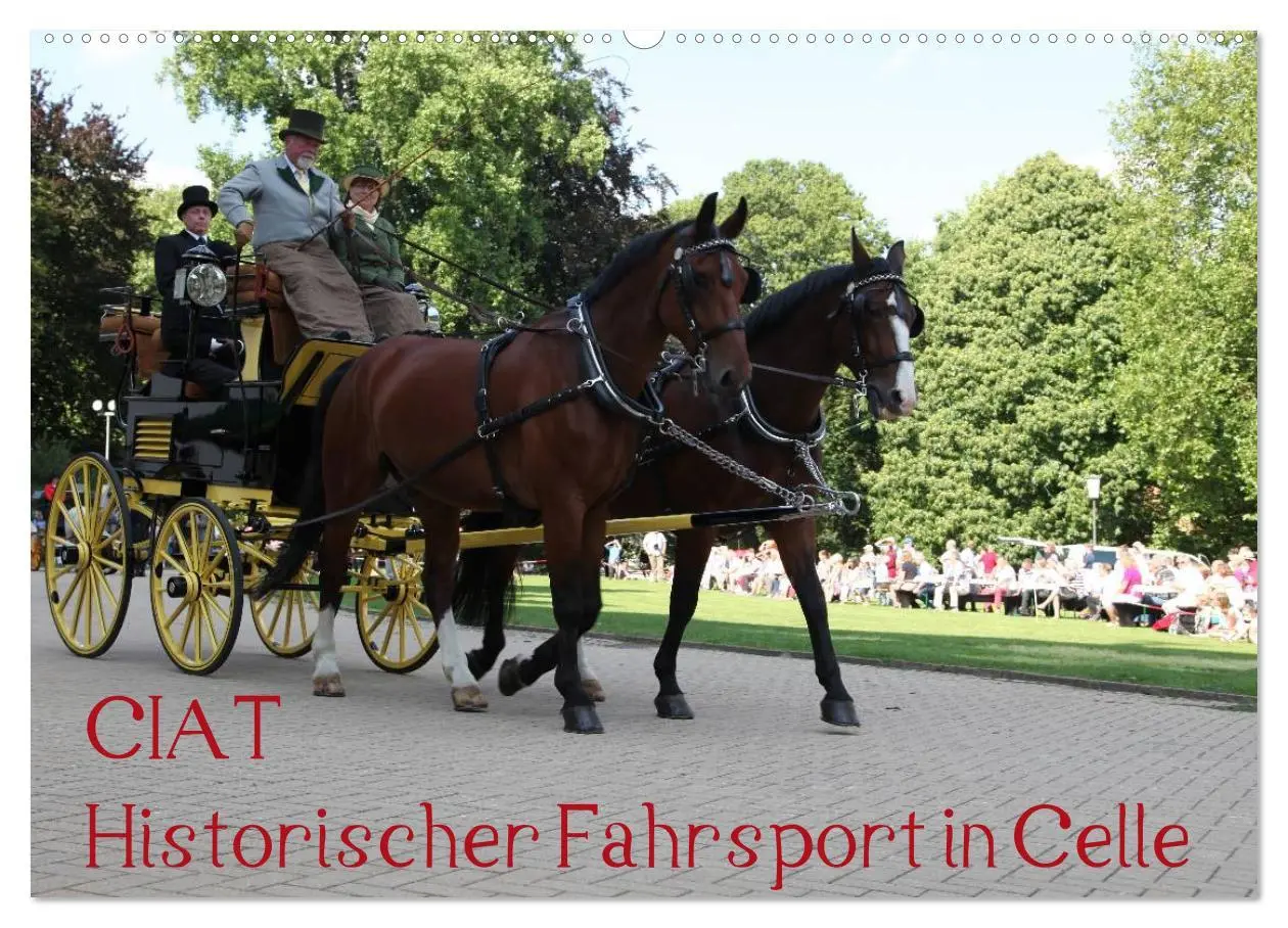 Cover: 9783516013498 | CIAT - Historischer Fahrsport in Celle (Wandkalender 2026 DIN A2...