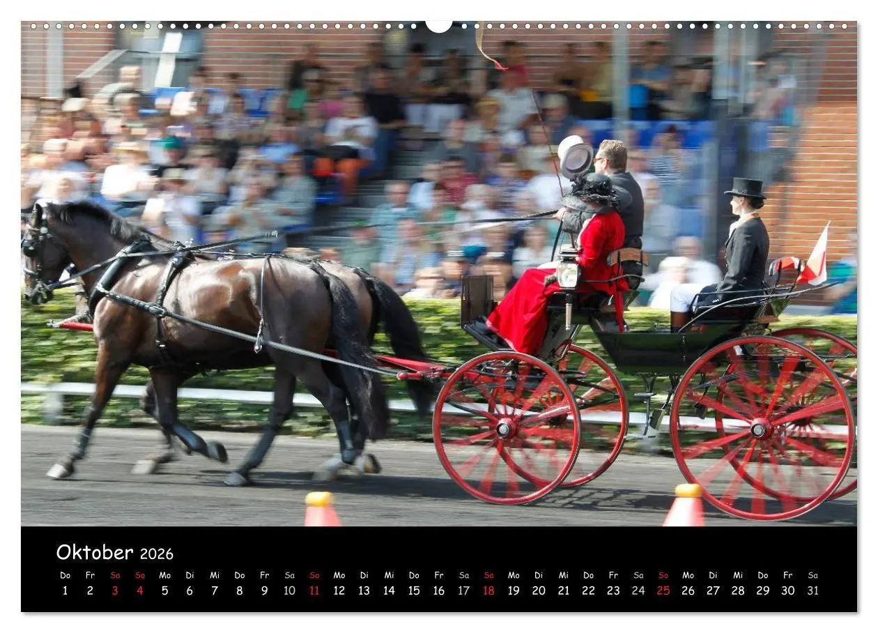 Bild: 9783516013498 | CIAT - Historischer Fahrsport in Celle (Wandkalender 2026 DIN A2...