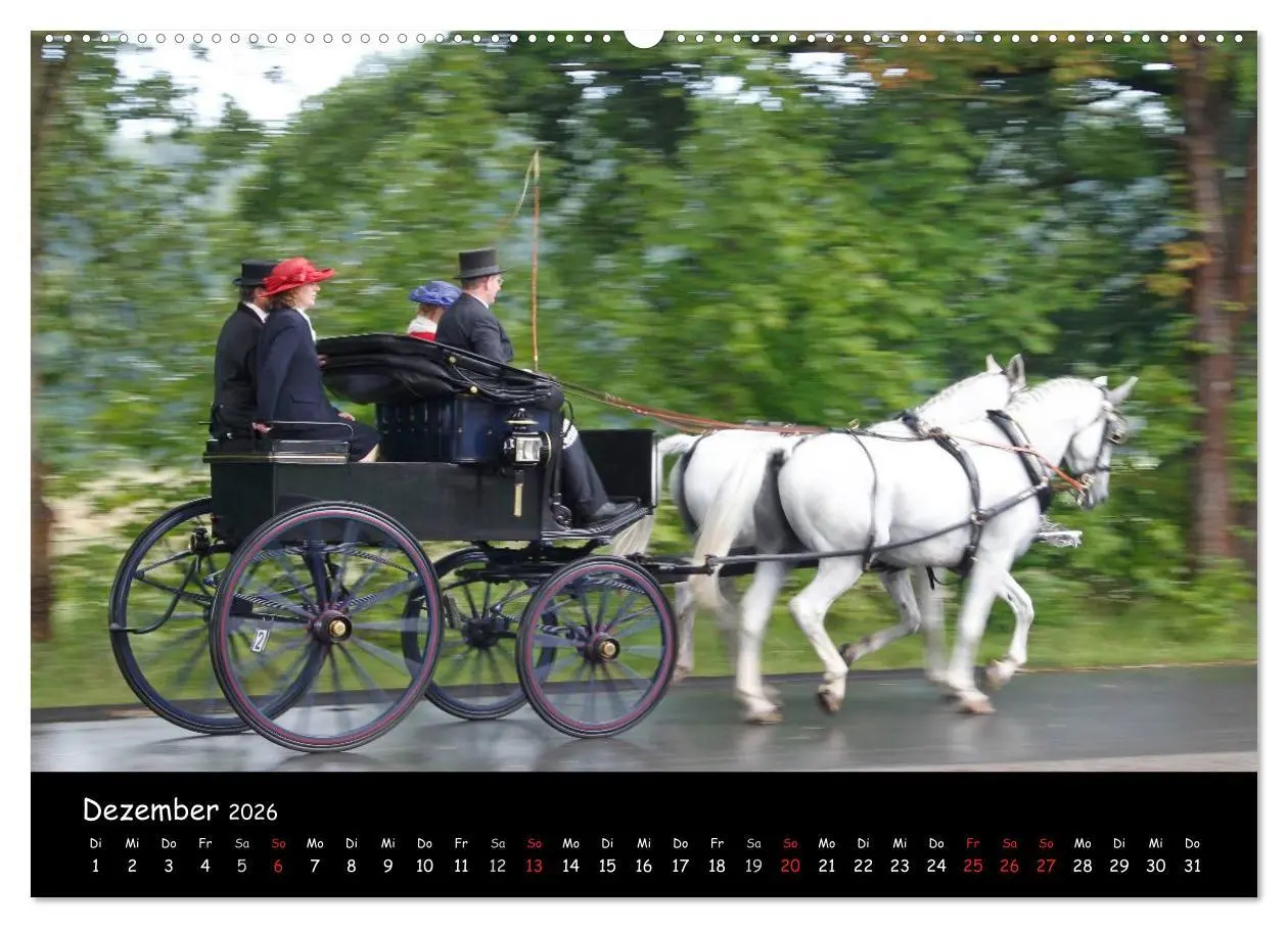 Bild: 9783516013498 | CIAT - Historischer Fahrsport in Celle (Wandkalender 2026 DIN A2...
