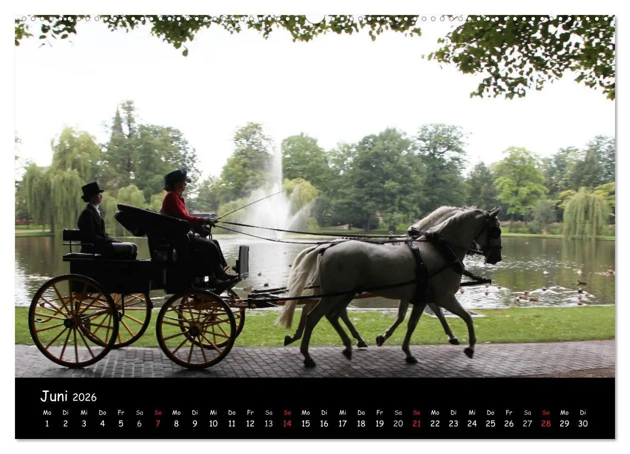 Bild: 9783516013498 | CIAT - Historischer Fahrsport in Celle (Wandkalender 2026 DIN A2...