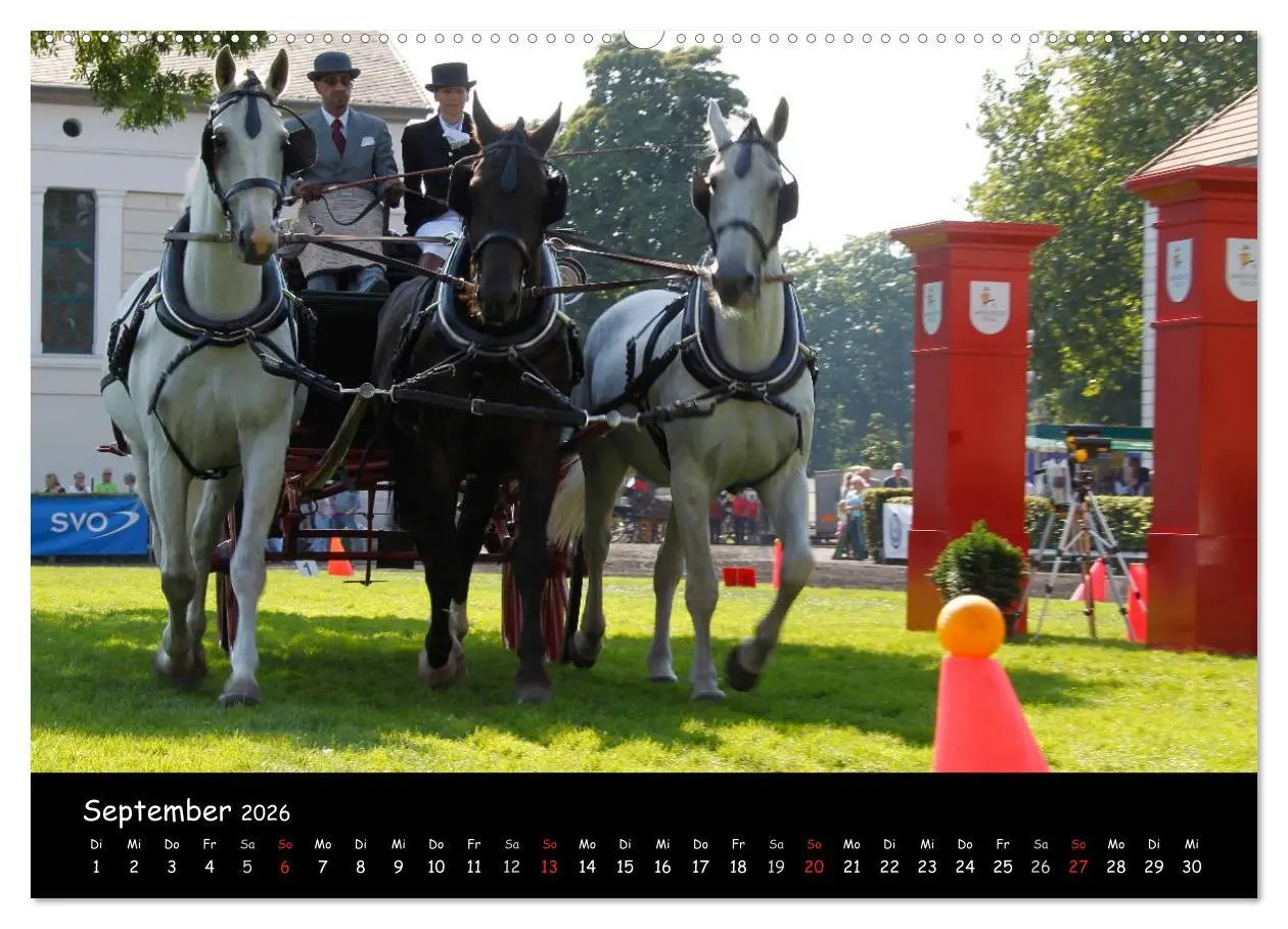 Bild: 9783516013498 | CIAT - Historischer Fahrsport in Celle (Wandkalender 2026 DIN A2...