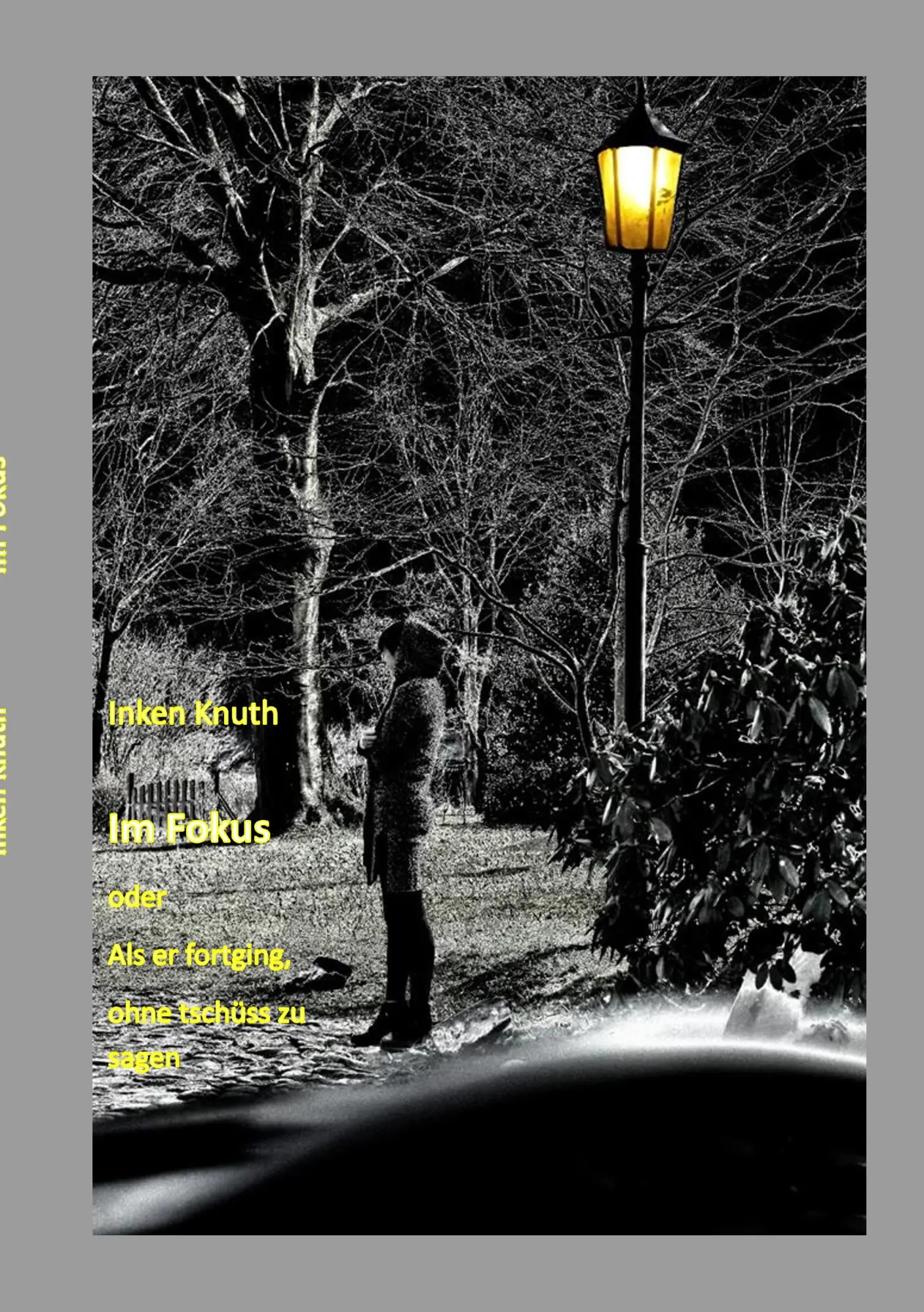 Cover: 9783748153498 | Im Fokus | Als er fortging, ohne tschüss zu sagen | Inken Knuth | Buch