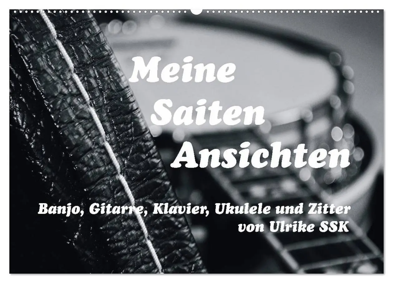 Cover: 9783516003598 | Meine Saiten Ansichten - Banjo, Gitarre, Klavier, Ukulele und...