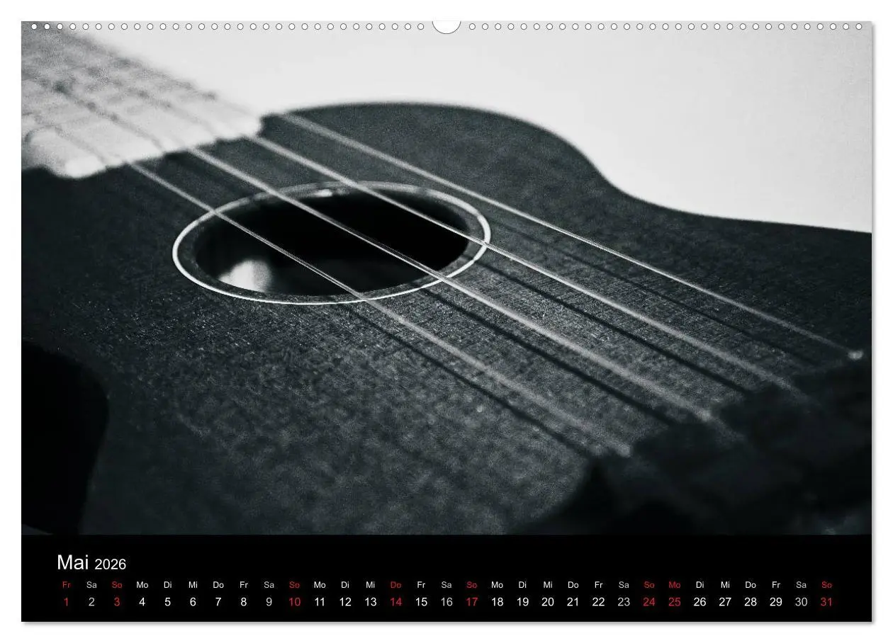 Bild: 9783516003598 | Meine Saiten Ansichten - Banjo, Gitarre, Klavier, Ukulele und...