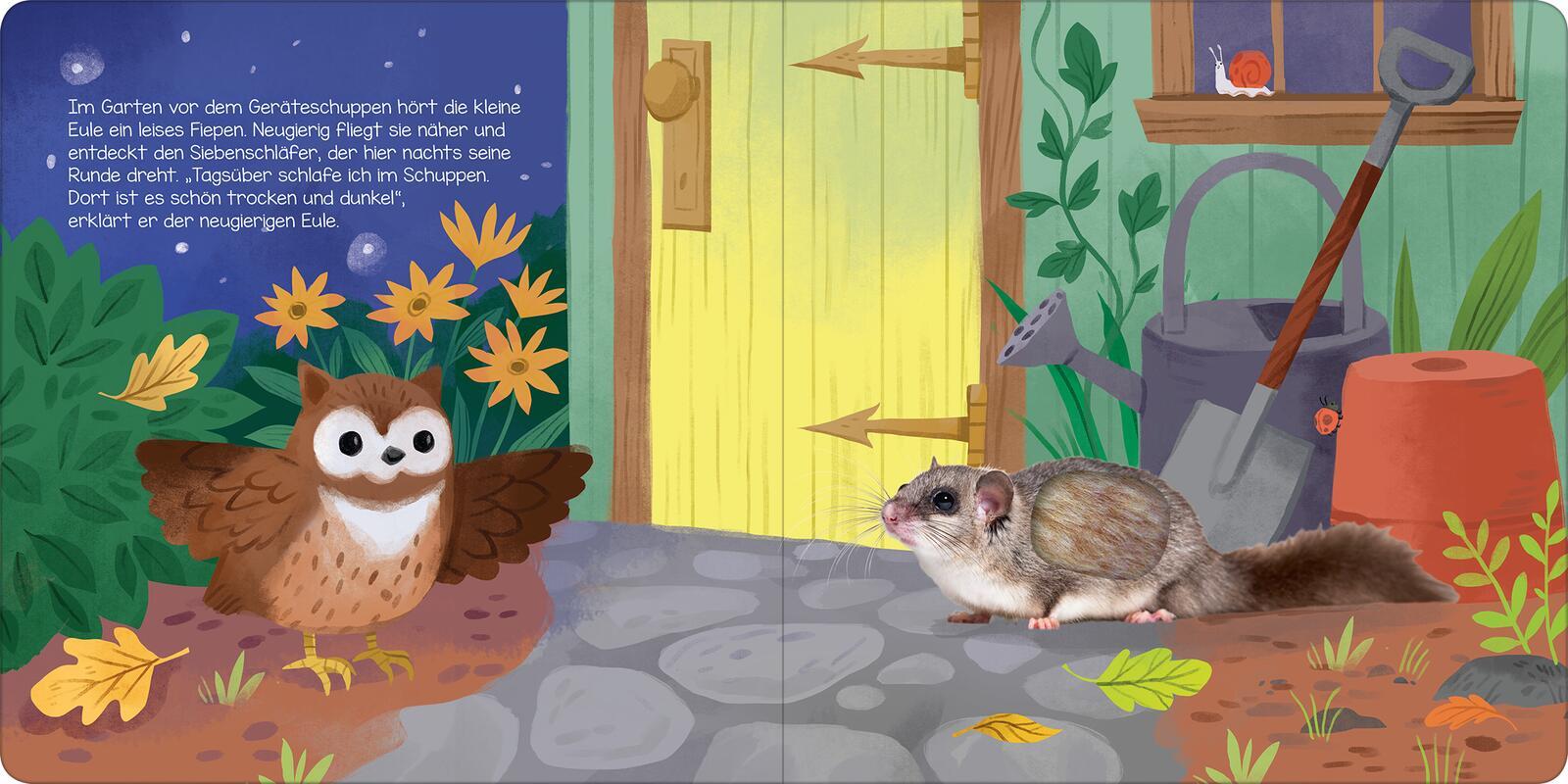 Bild: 9783845853598 | Hör mal, kleine Eule! | Streicheln und hören | Kathryn Selbert | Buch