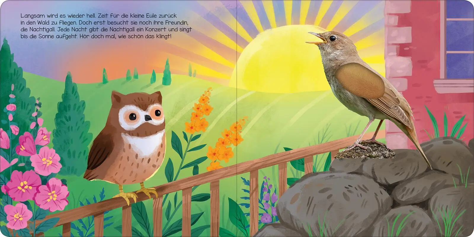 Bild: 9783845853598 | Hör mal, kleine Eule! | Streicheln und hören | Kathryn Selbert | Buch