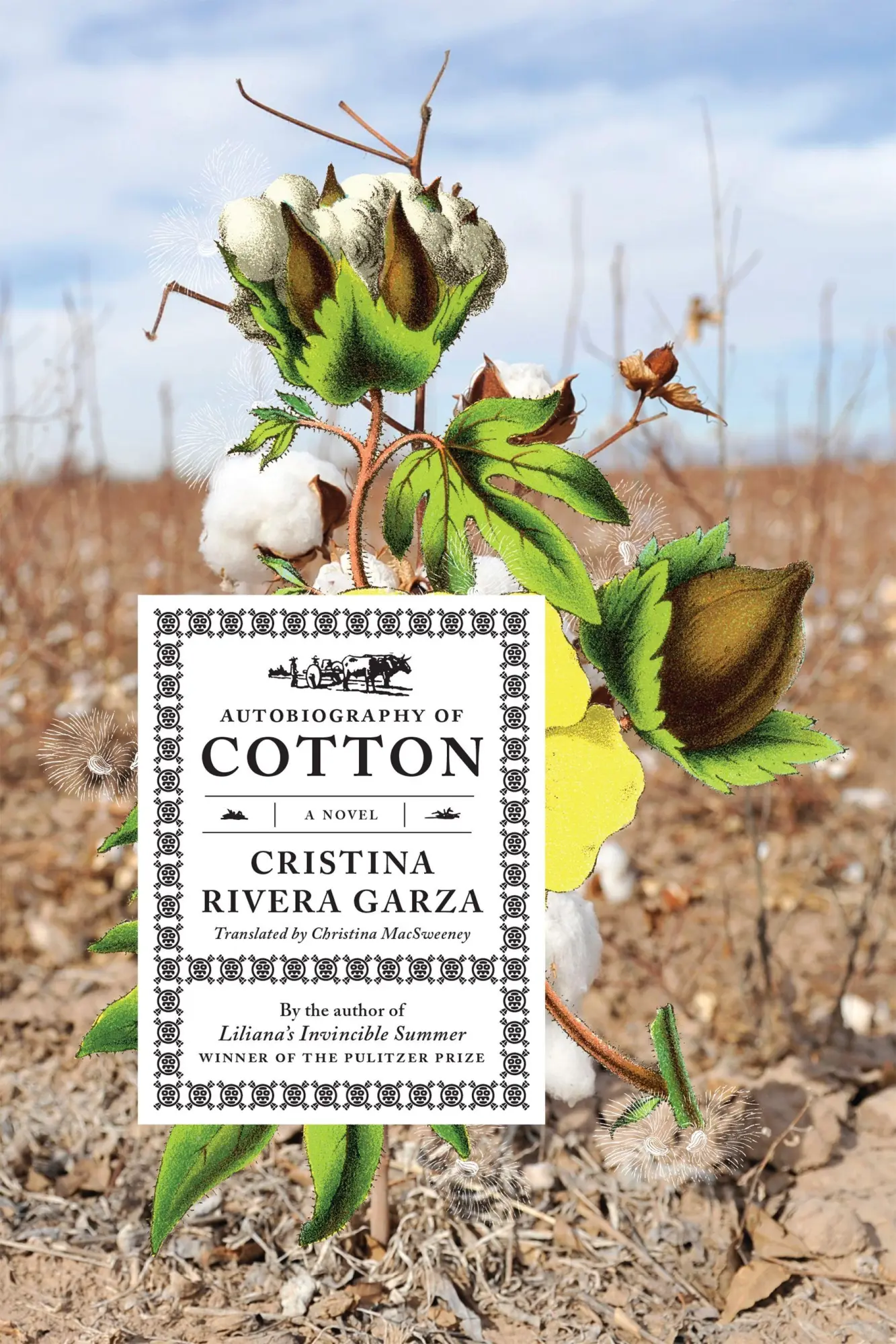 Cover: 9781644453698 | Autobiography of Cotton | Cristina Rivera Garza (u. a.) | Taschenbuch