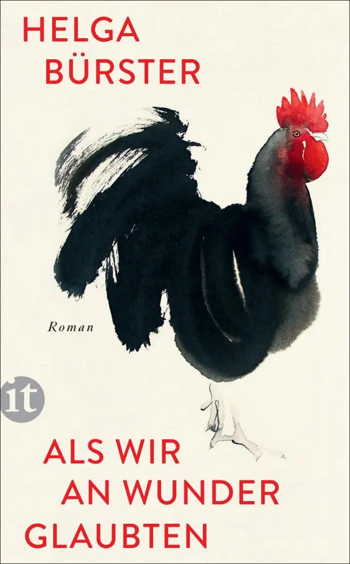 Cover: 9783458683698 | Als wir an Wunder glaubten | Roman | Helga Bürster | Taschenbuch