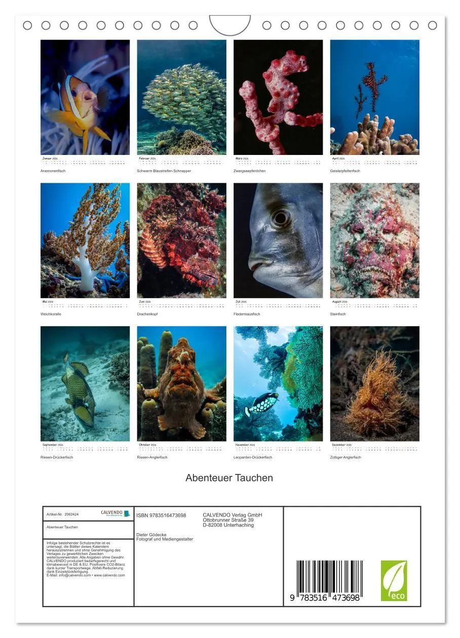 Bild: 9783516473698 | Abenteuer Tauchen (Wandkalender 2026 DIN A4 hoch), CALVENDO...