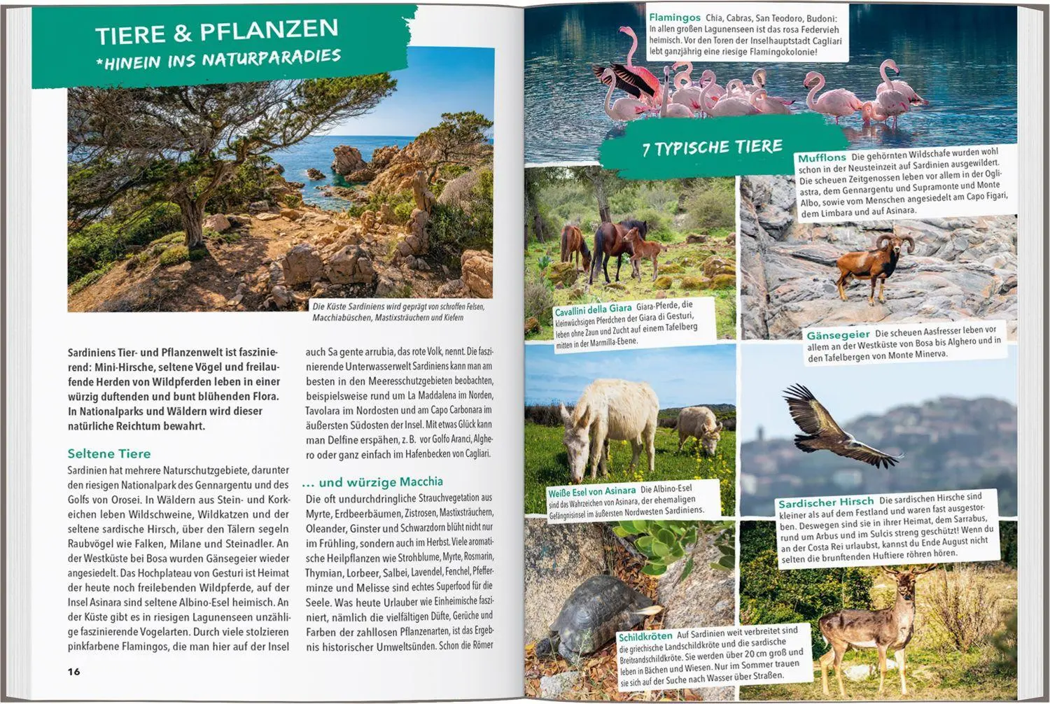 Bild: 9783575023698 | MARCO POLO OUTDOOR GUIDE Reiseführer Sardinien | Timo Lutz | Buch
