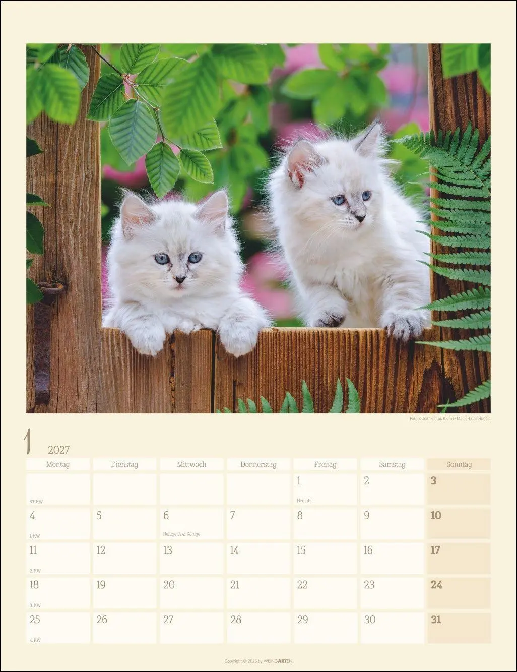 Bild: 9783839903698 | Katzen auf dem Lande Kalender 2027 | Marie-Luce Hubert | Kalender