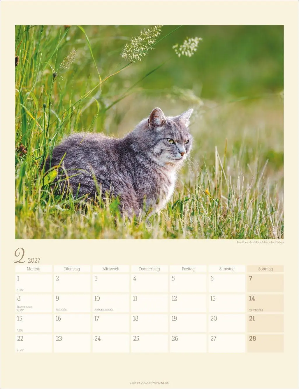 Bild: 9783839903698 | Katzen auf dem Lande Kalender 2027 | Marie-Luce Hubert | Kalender