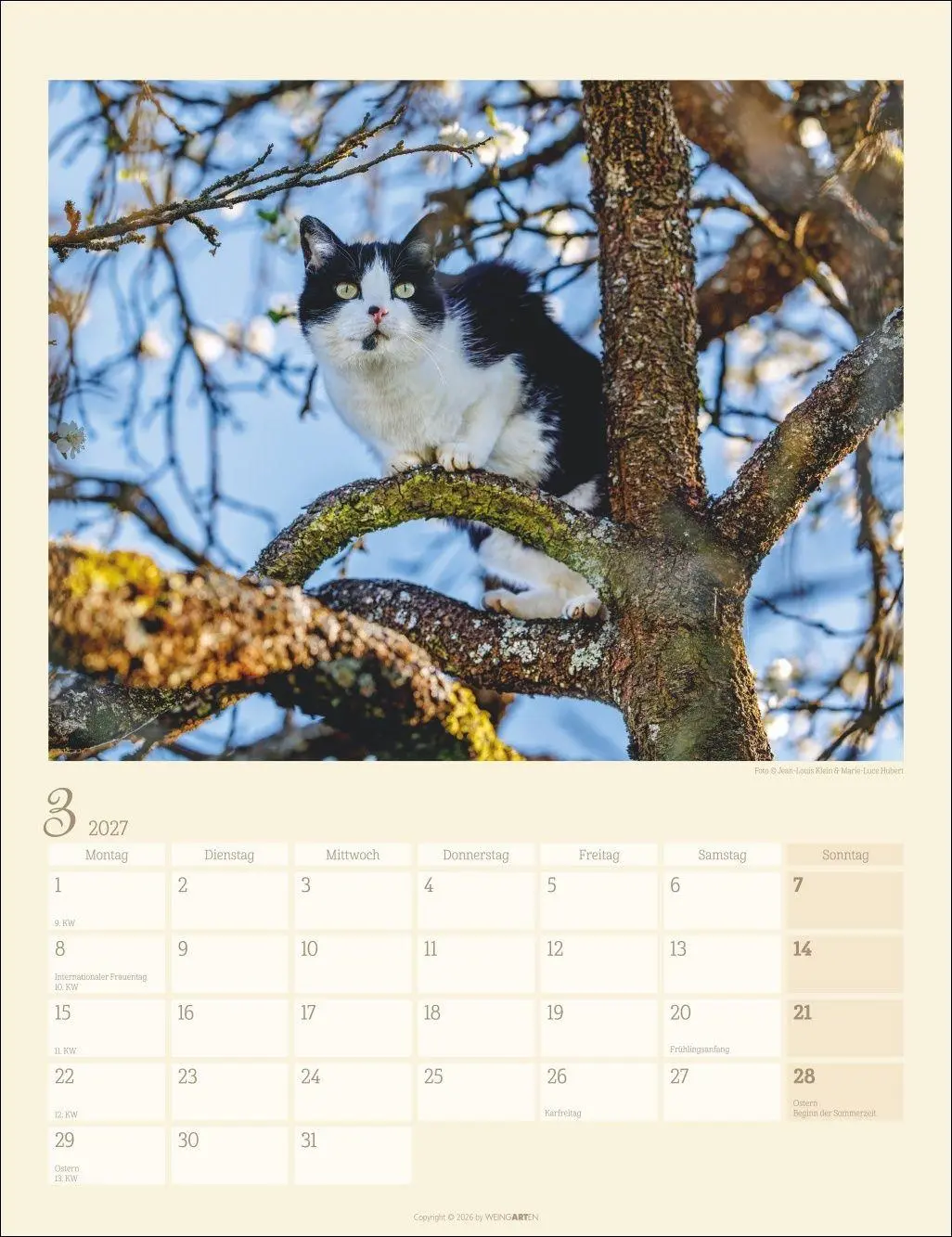 Bild: 9783839903698 | Katzen auf dem Lande Kalender 2027 | Marie-Luce Hubert | Kalender