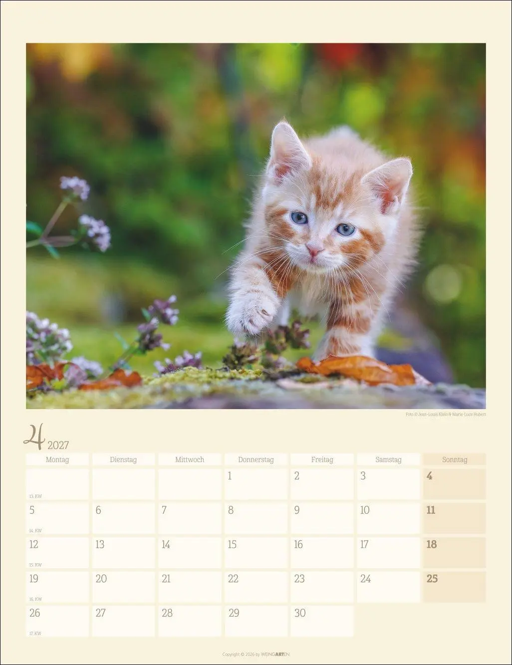 Bild: 9783839903698 | Katzen auf dem Lande Kalender 2027 | Marie-Luce Hubert | Kalender