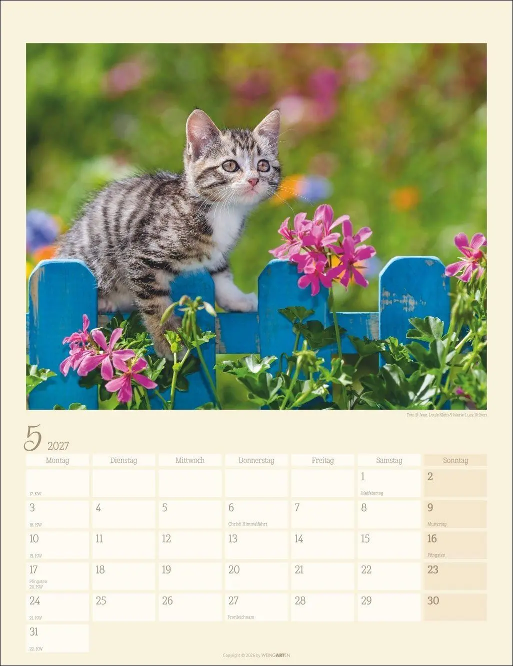 Bild: 9783839903698 | Katzen auf dem Lande Kalender 2027 | Marie-Luce Hubert | Kalender