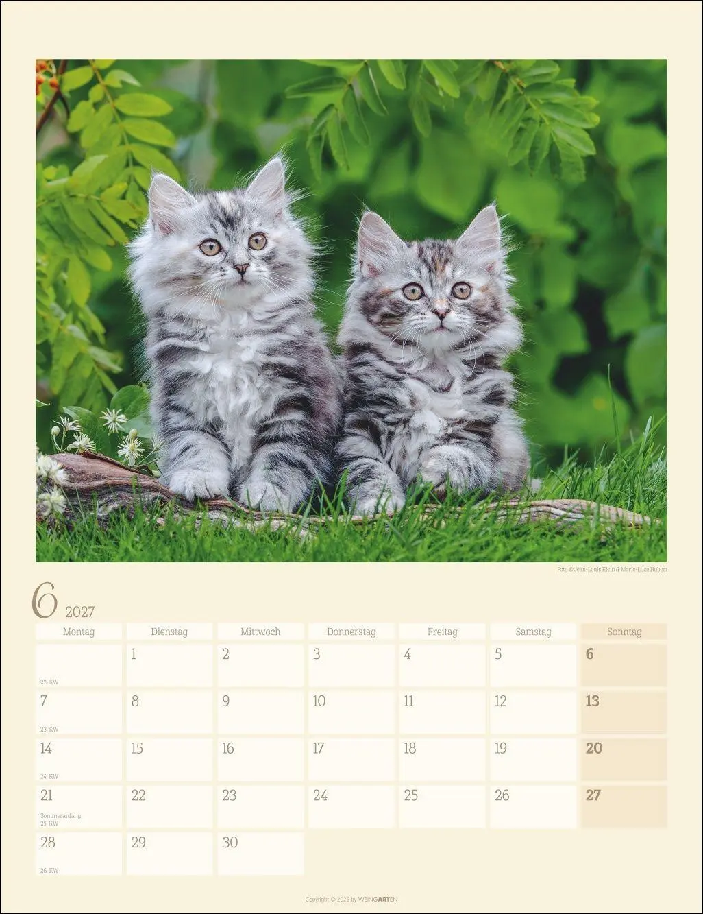 Bild: 9783839903698 | Katzen auf dem Lande Kalender 2027 | Marie-Luce Hubert | Kalender