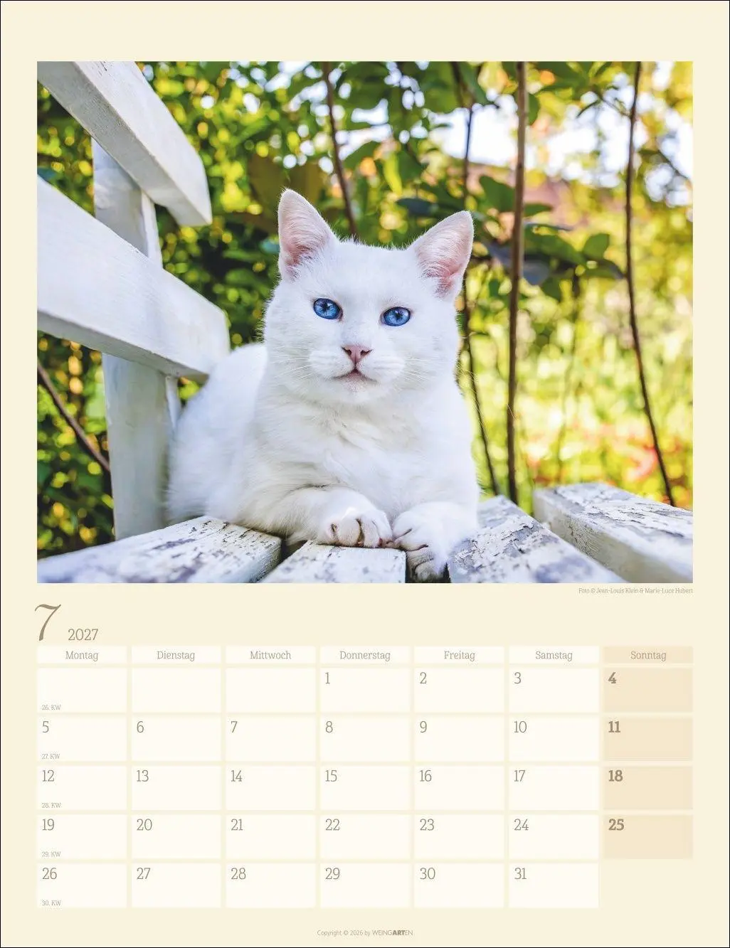 Bild: 9783839903698 | Katzen auf dem Lande Kalender 2027 | Marie-Luce Hubert | Kalender