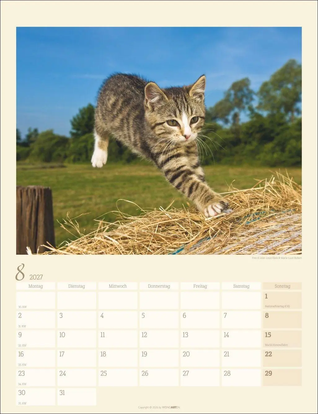 Bild: 9783839903698 | Katzen auf dem Lande Kalender 2027 | Marie-Luce Hubert | Kalender