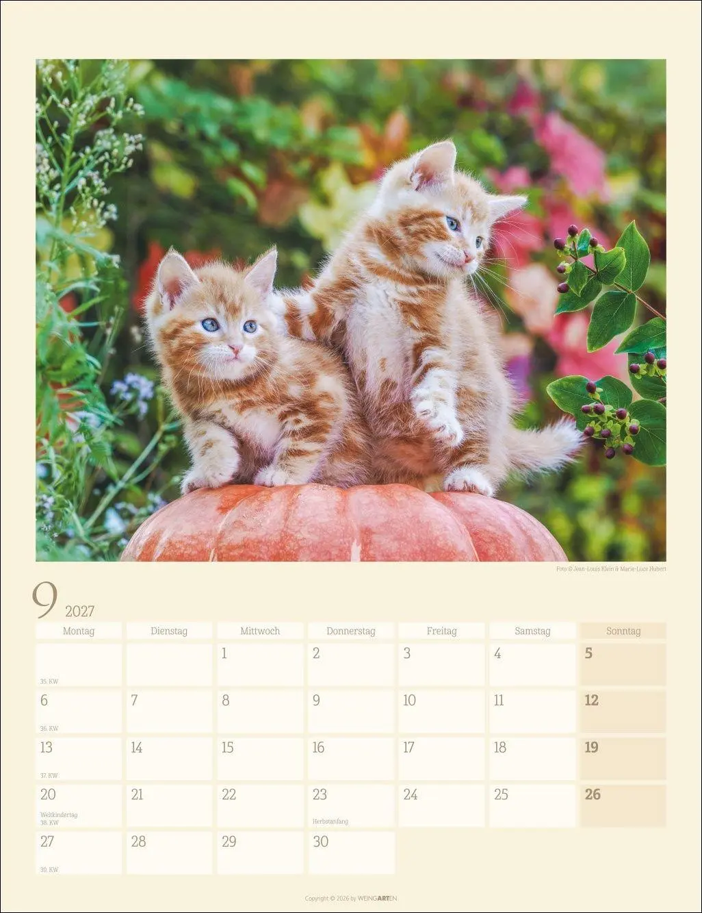 Bild: 9783839903698 | Katzen auf dem Lande Kalender 2027 | Marie-Luce Hubert | Kalender