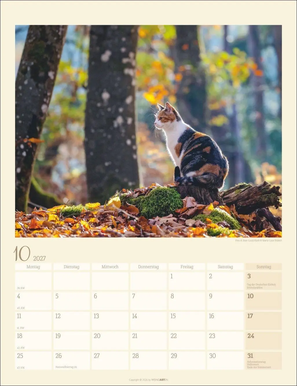 Bild: 9783839903698 | Katzen auf dem Lande Kalender 2027 | Marie-Luce Hubert | Kalender