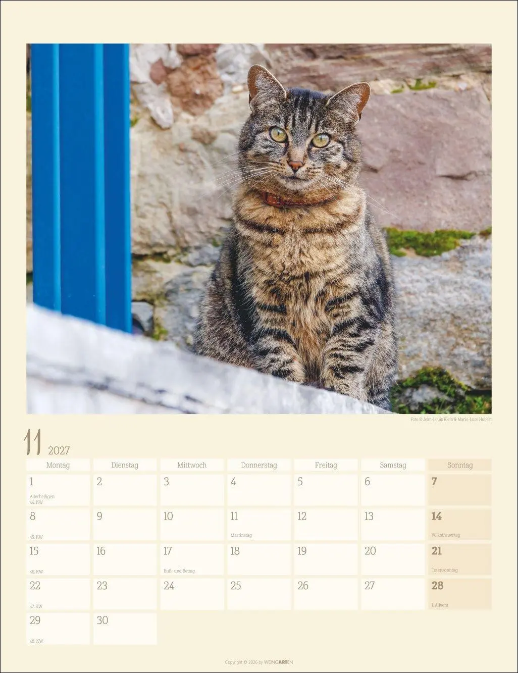 Bild: 9783839903698 | Katzen auf dem Lande Kalender 2027 | Marie-Luce Hubert | Kalender