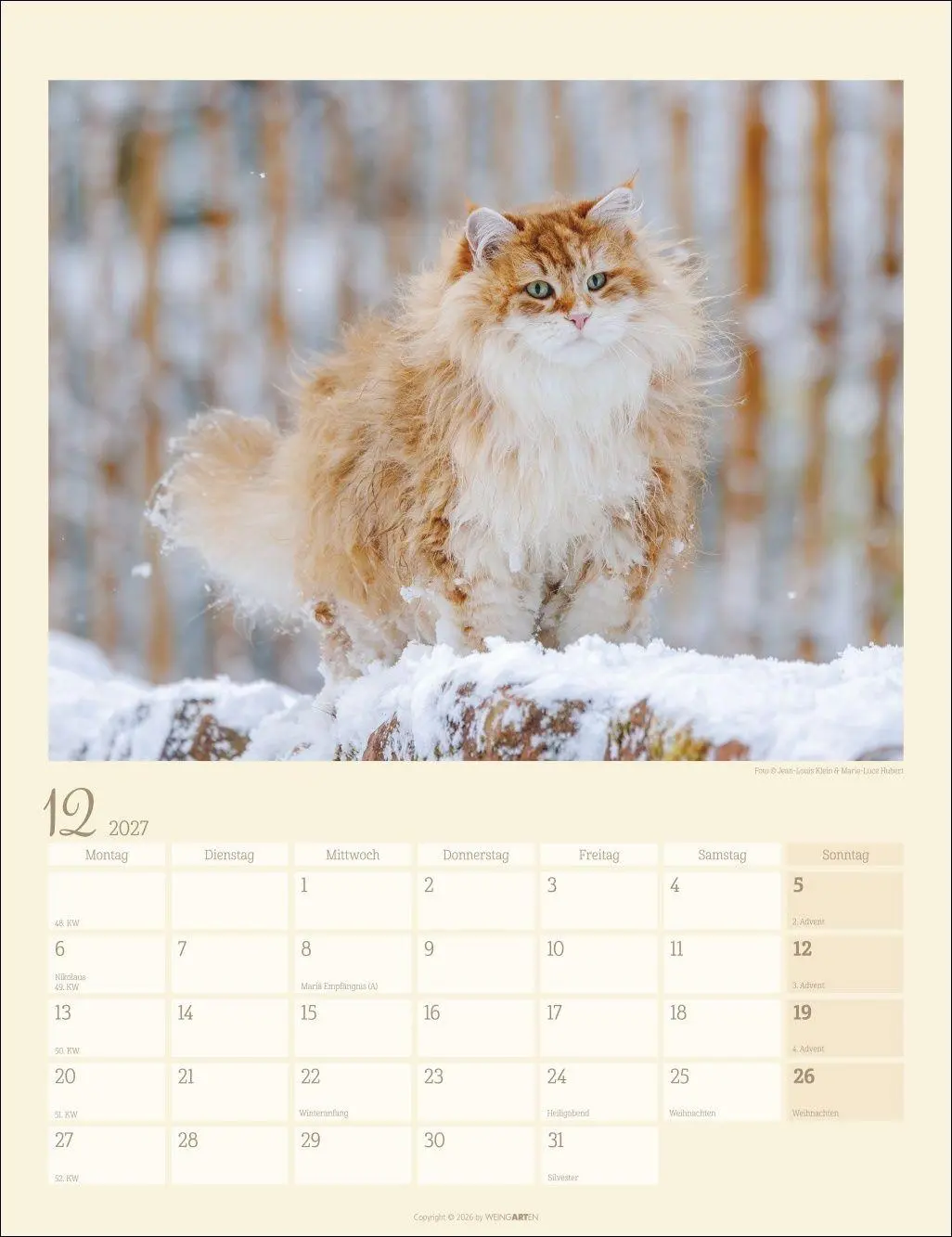 Bild: 9783839903698 | Katzen auf dem Lande Kalender 2027 | Marie-Luce Hubert | Kalender