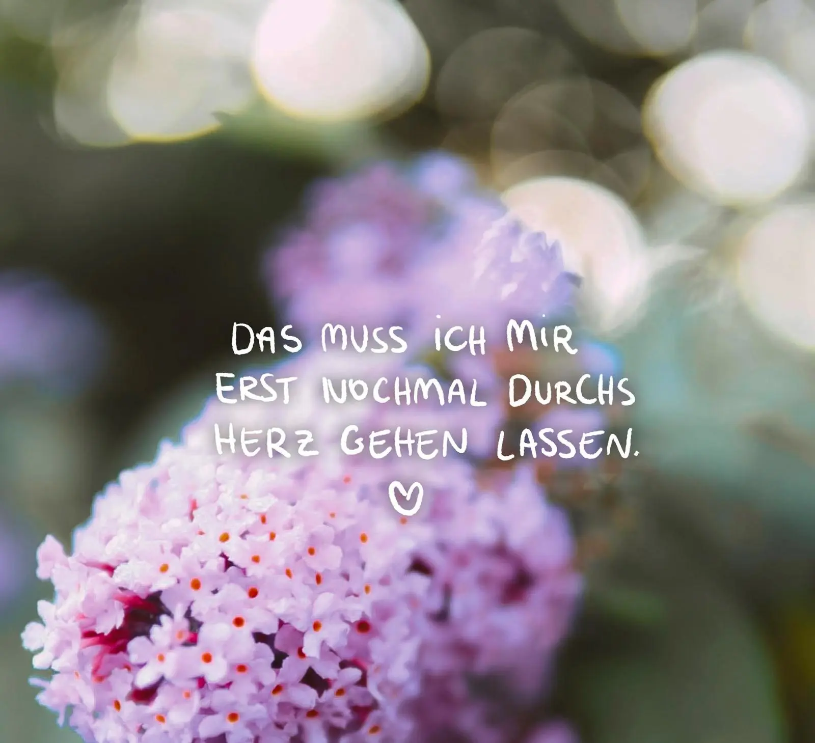 Bild: 9783848503698 | Lass dein Herz lachen - Inspirationen für einen erfüllten Alltag