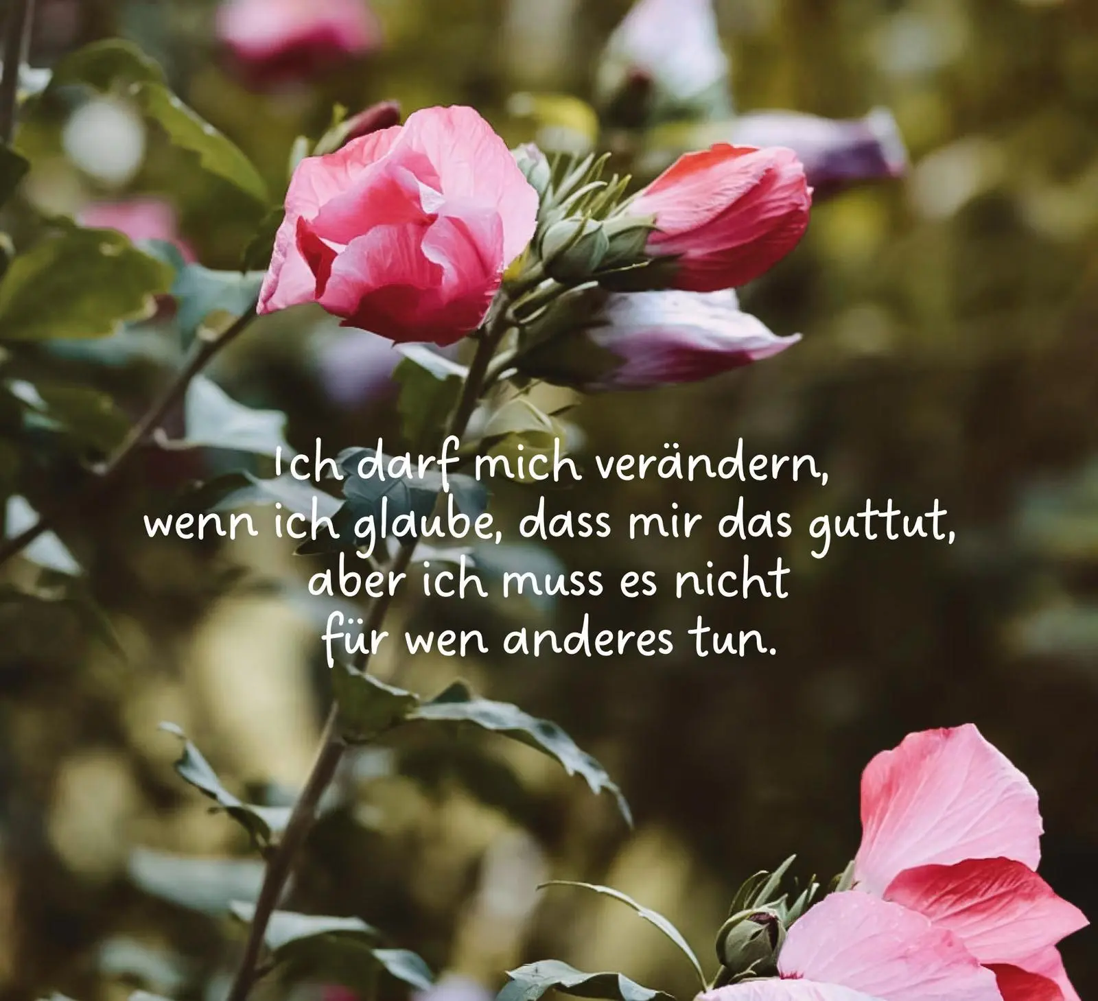 Bild: 9783848503698 | Lass dein Herz lachen - Inspirationen für einen erfüllten Alltag