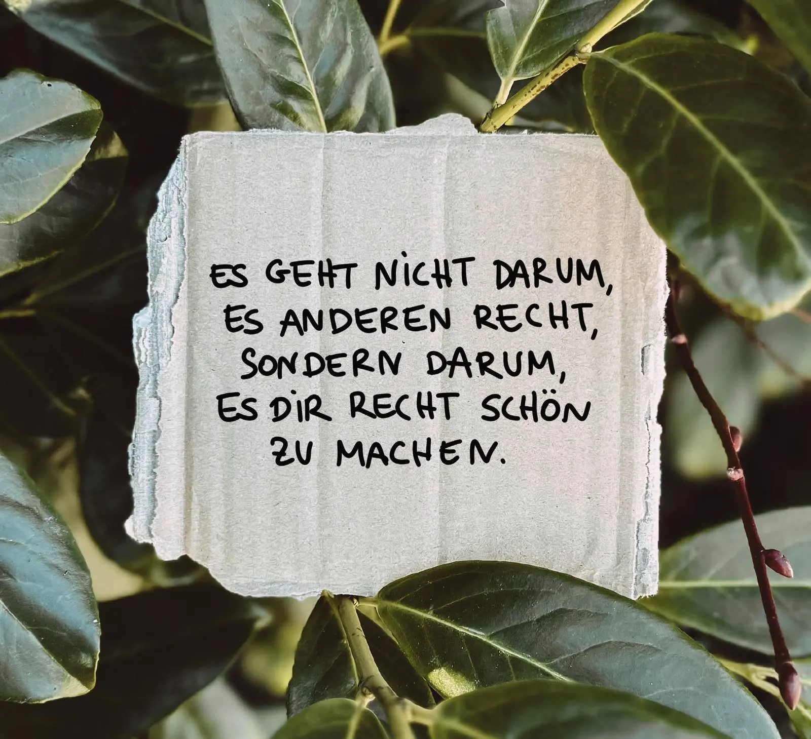 Bild: 9783848503698 | Lass dein Herz lachen - Inspirationen für einen erfüllten Alltag