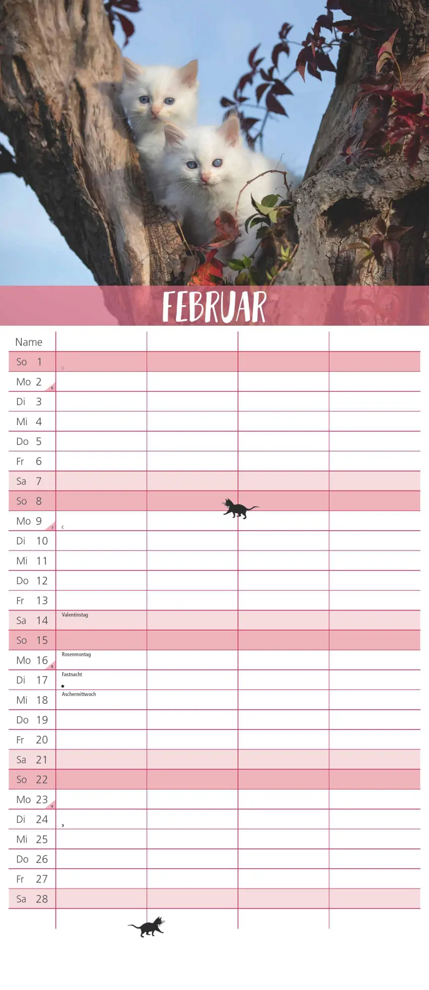 Bild: 4069095003798 | Dumonts Katzen Kalender - Familienplaner im Format 19,5 x 45 | 14 S.