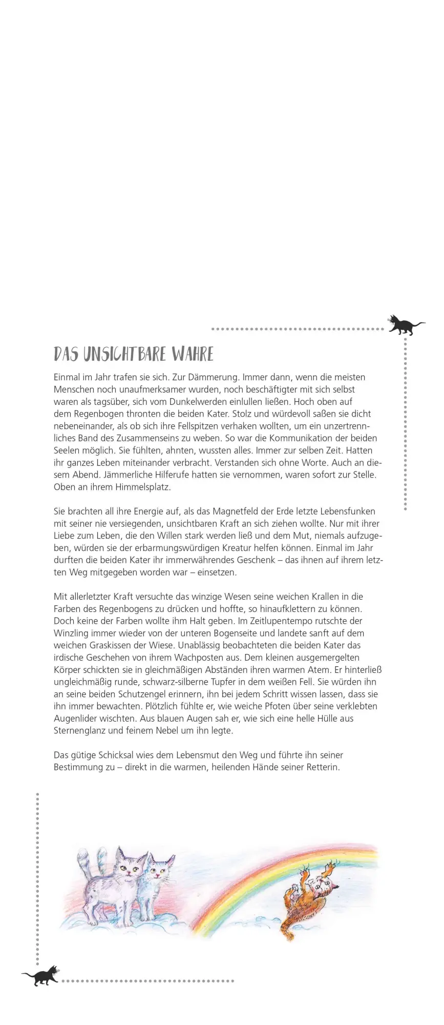 Bild: 4069095003798 | Dumonts Katzen Kalender - Familienplaner im Format 19,5 x 45 | 14 S.